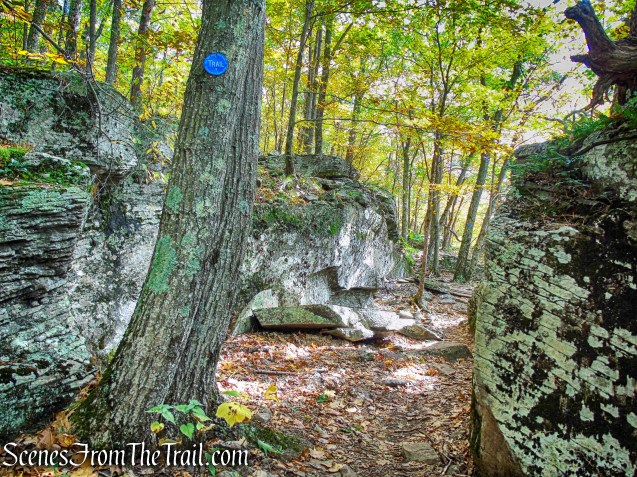 Escarpment Trail