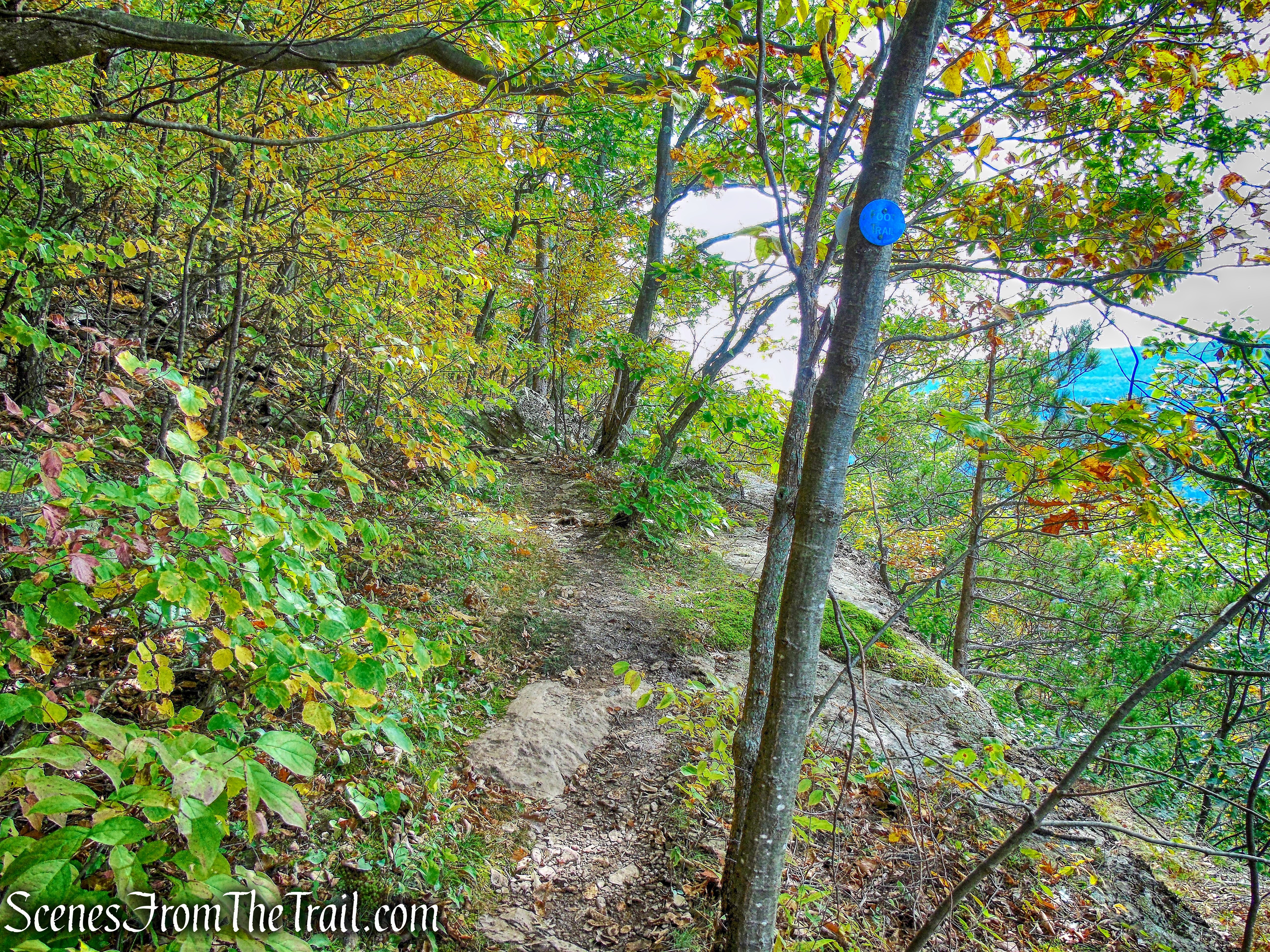 Escarpment Trail