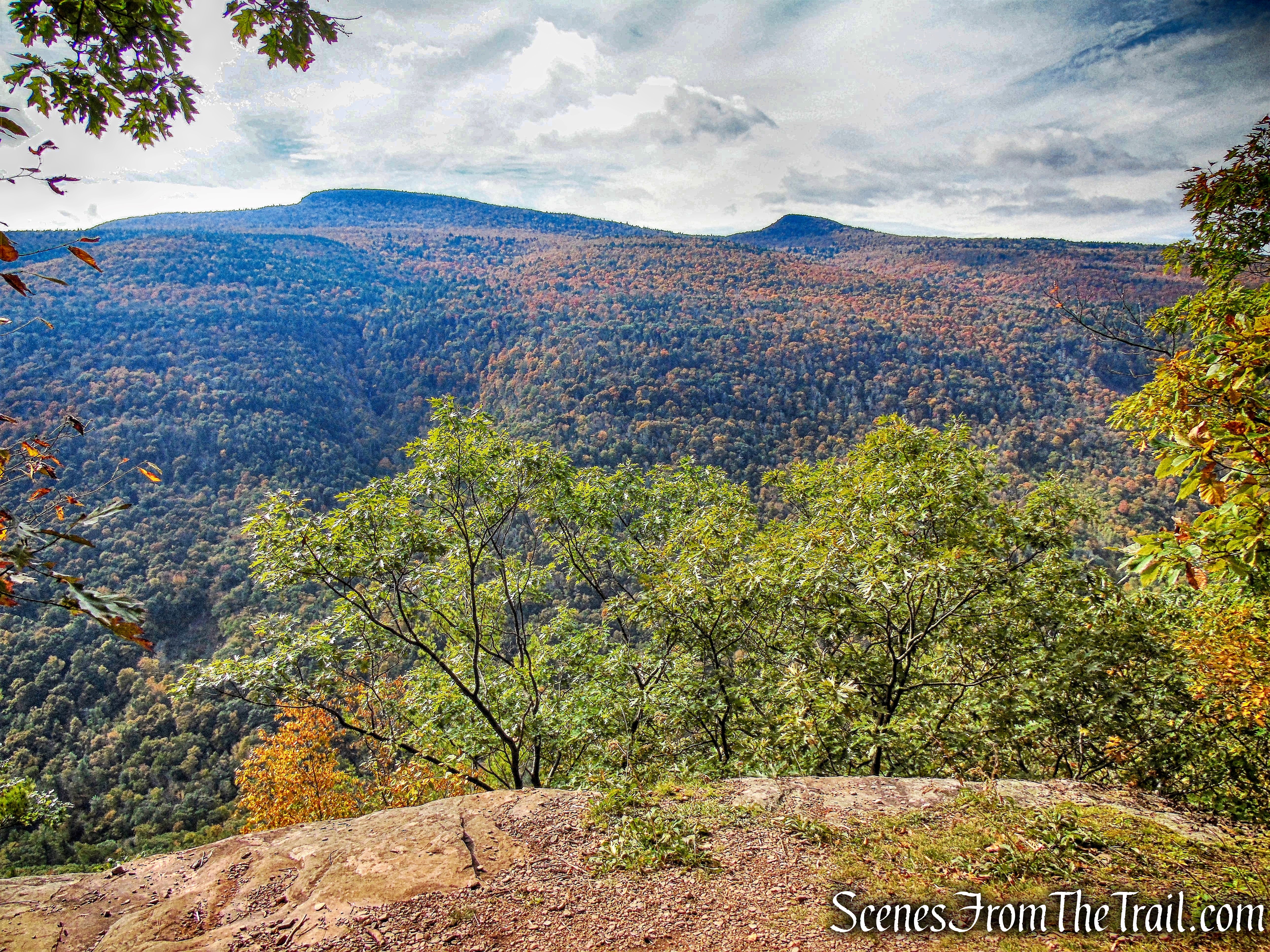 Escarpment Trail