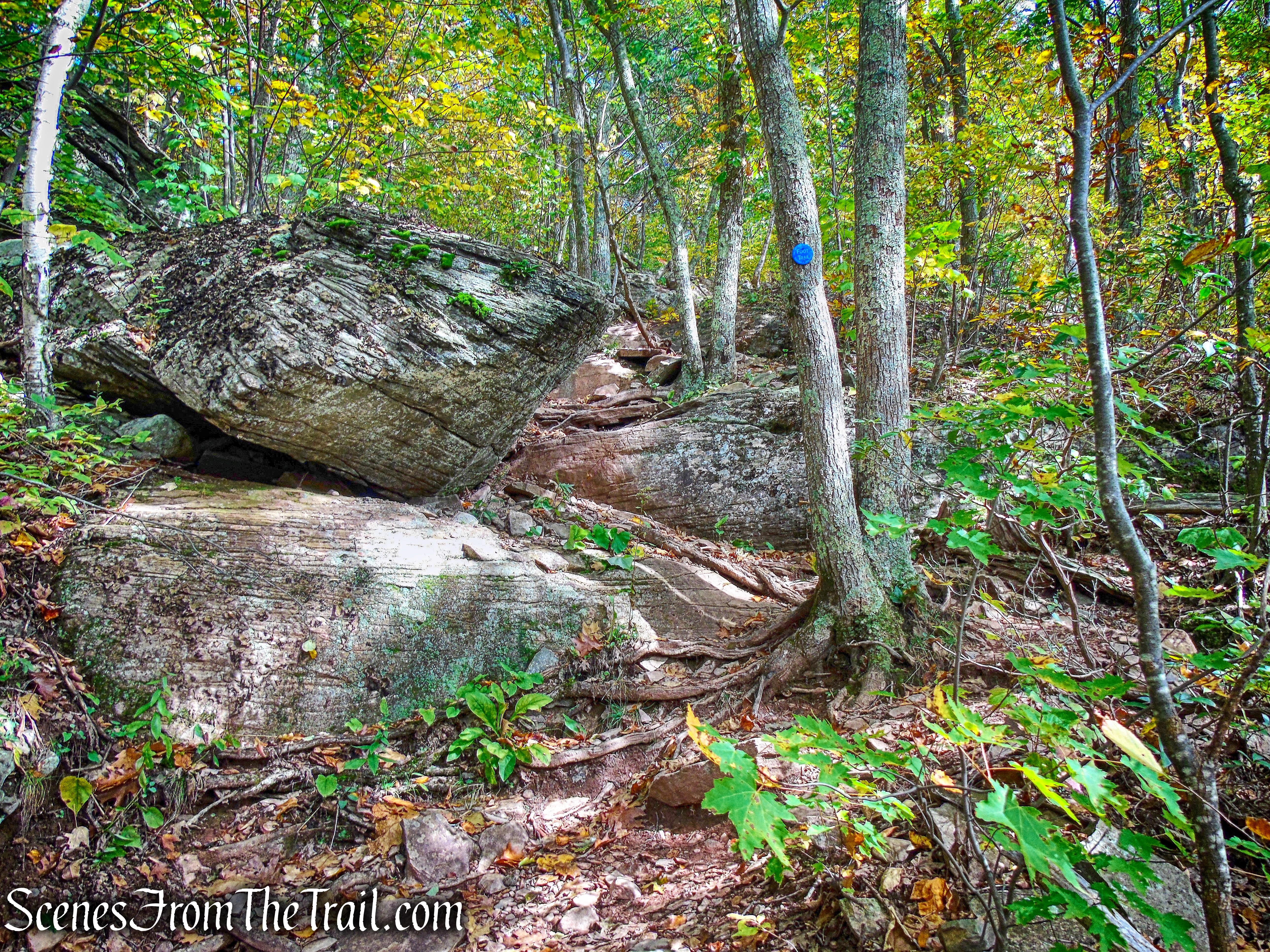 Escarpment Trail