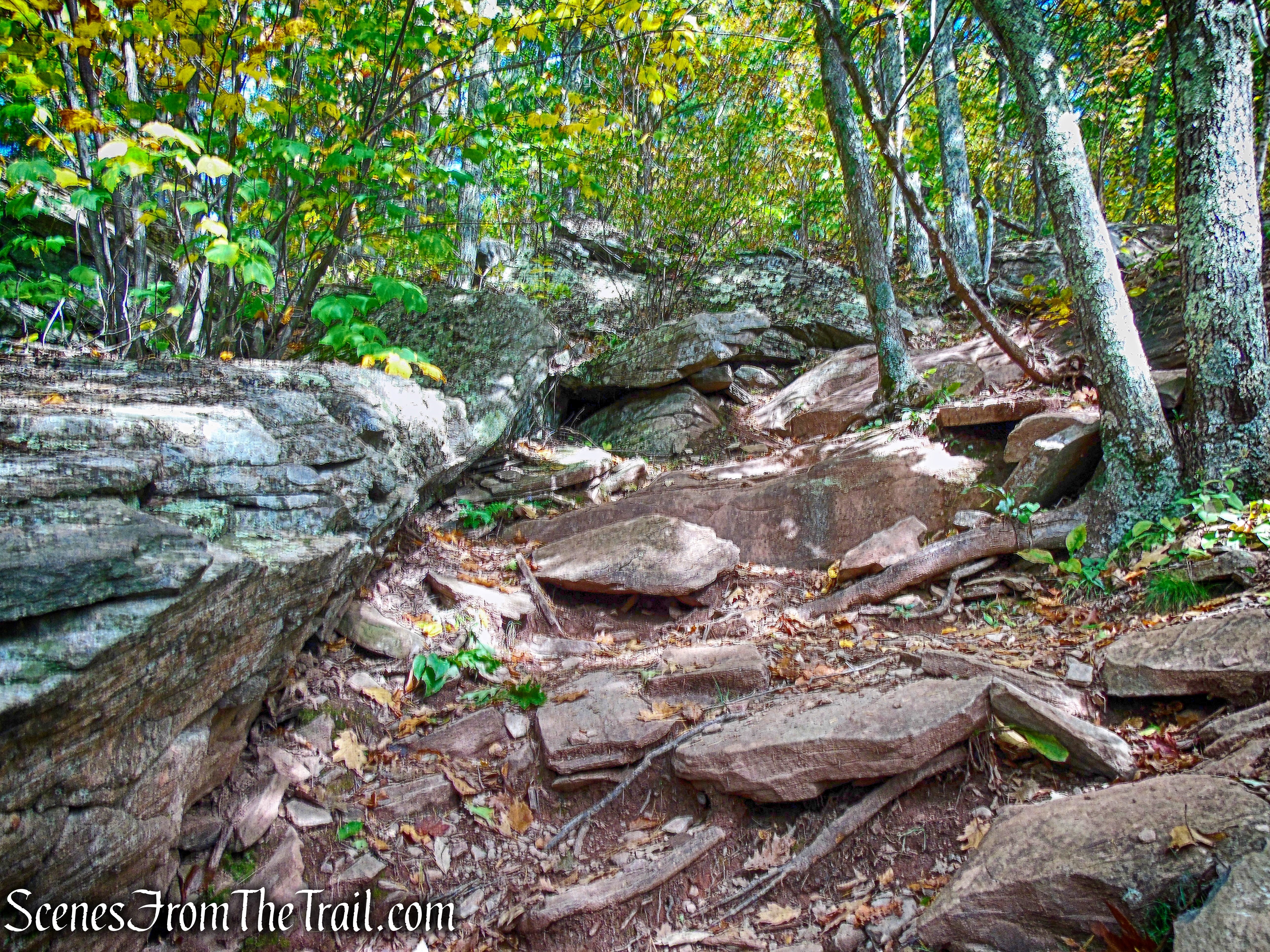 Escarpment Trail