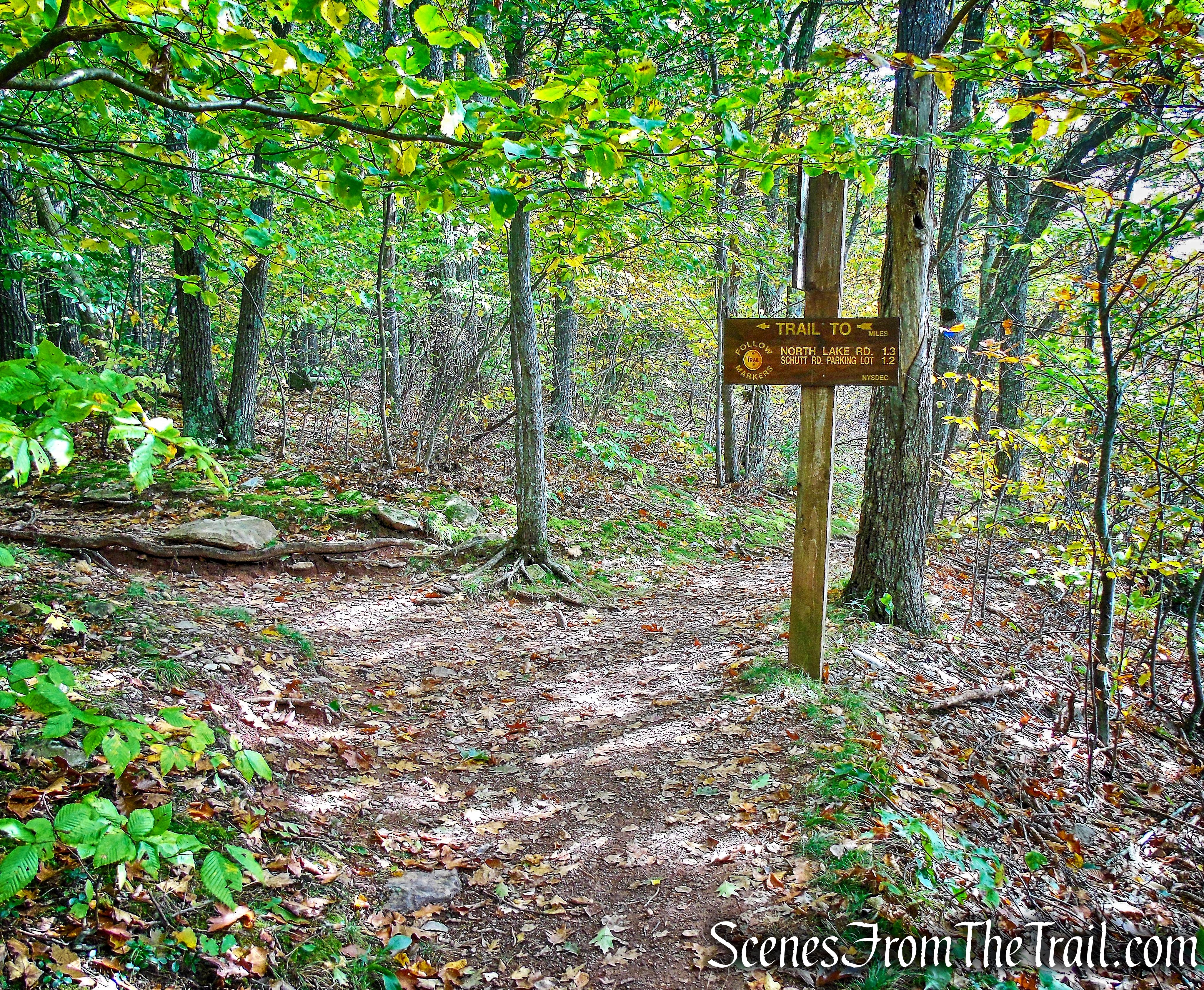 junction with Yellow Connector Trail