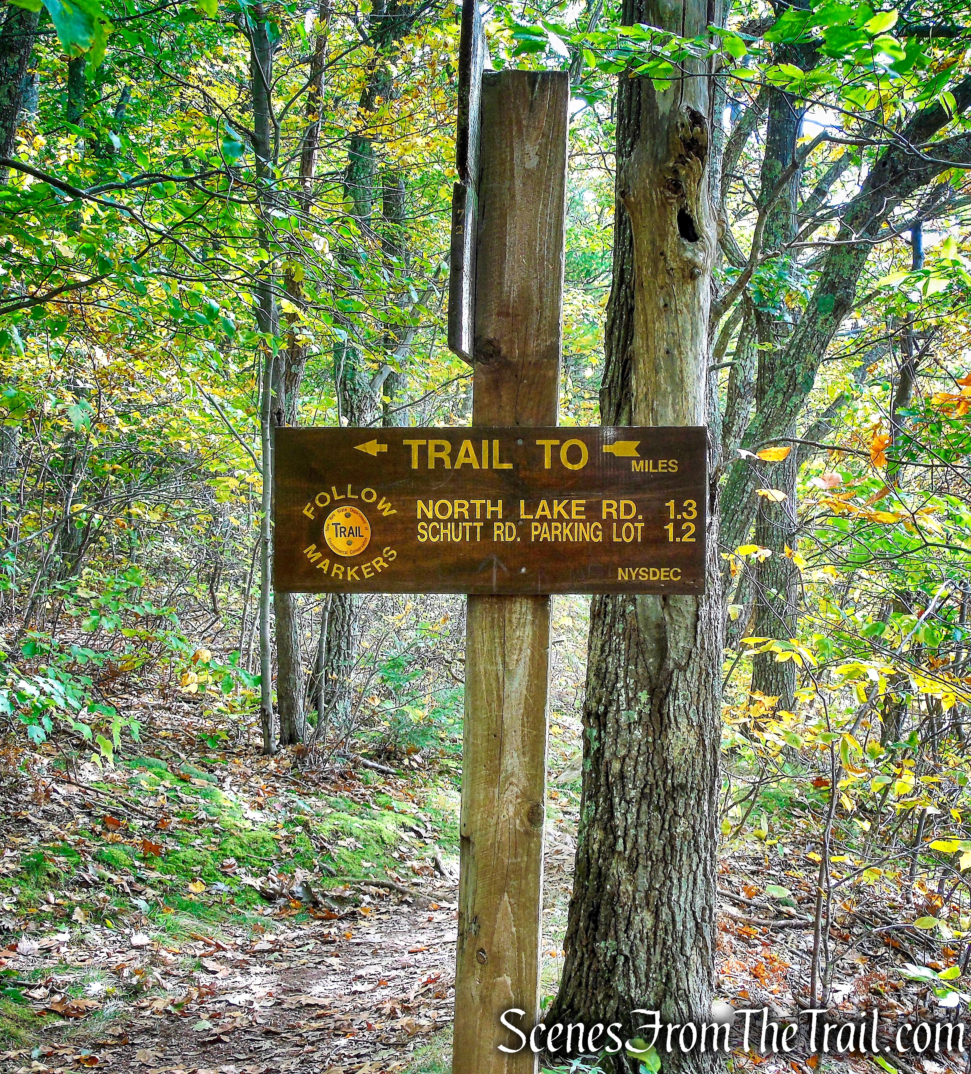 junction with Yellow Connector Trail
