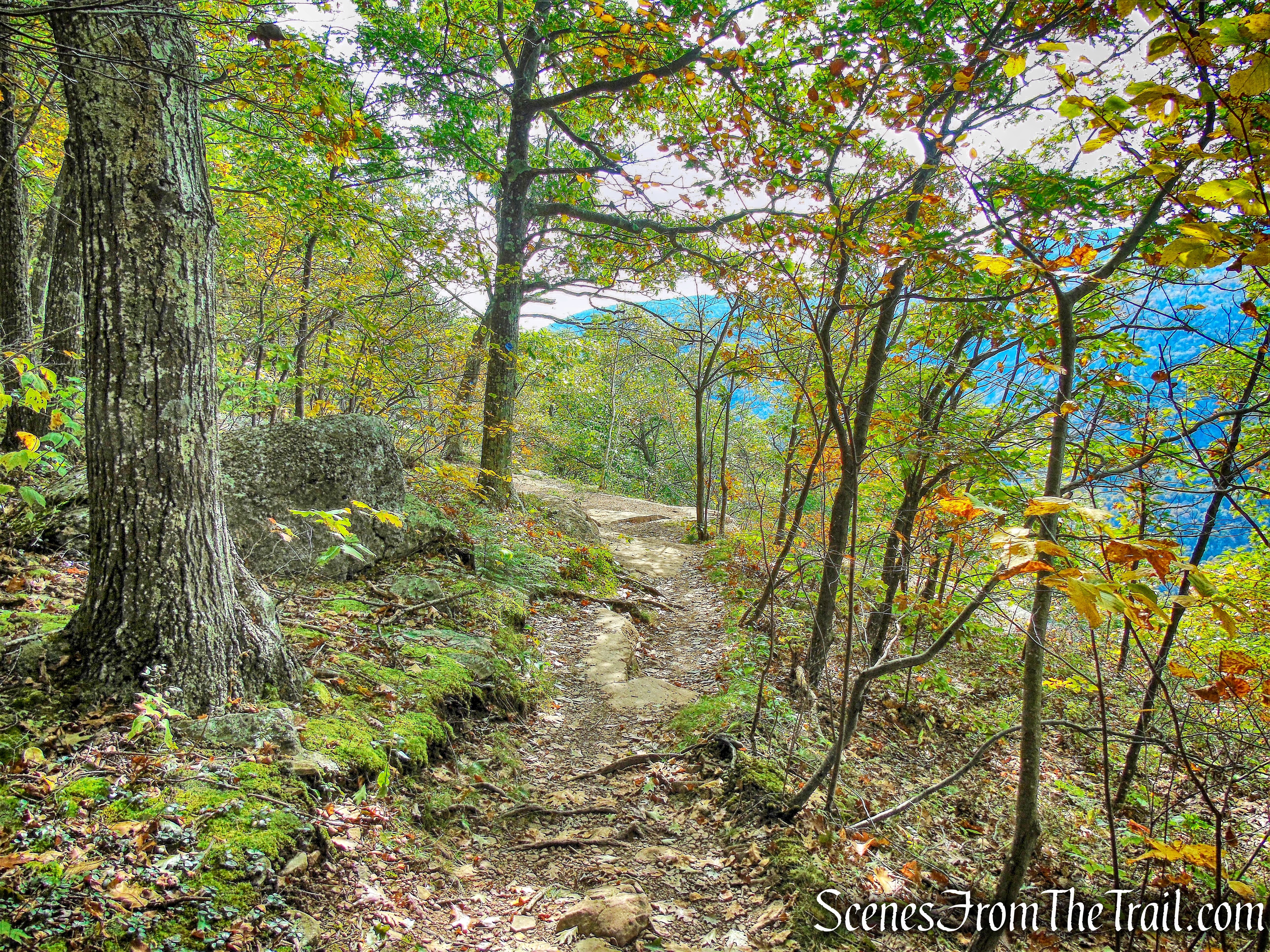 Escarpment Trail