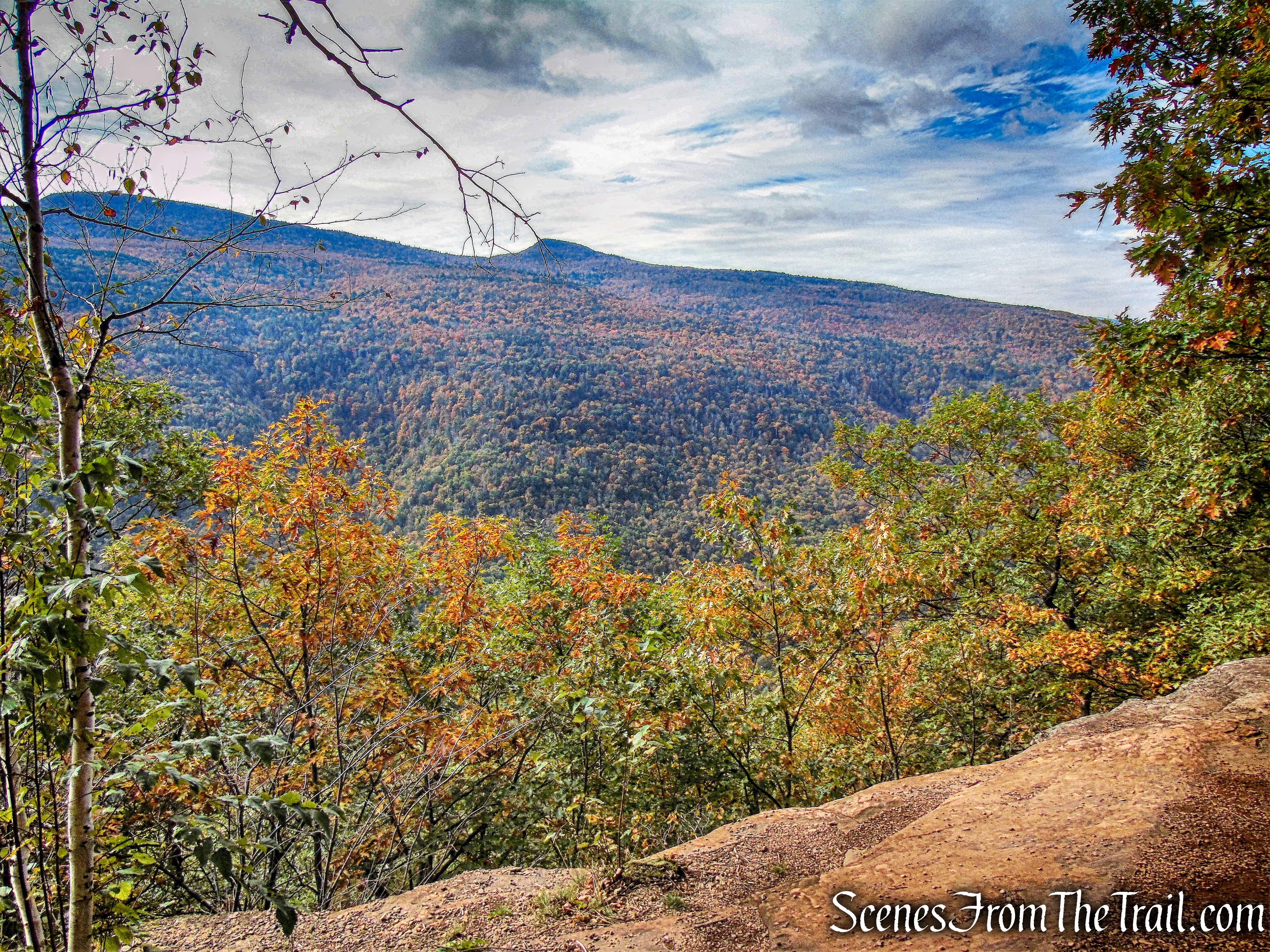 view from Escarpment Trail