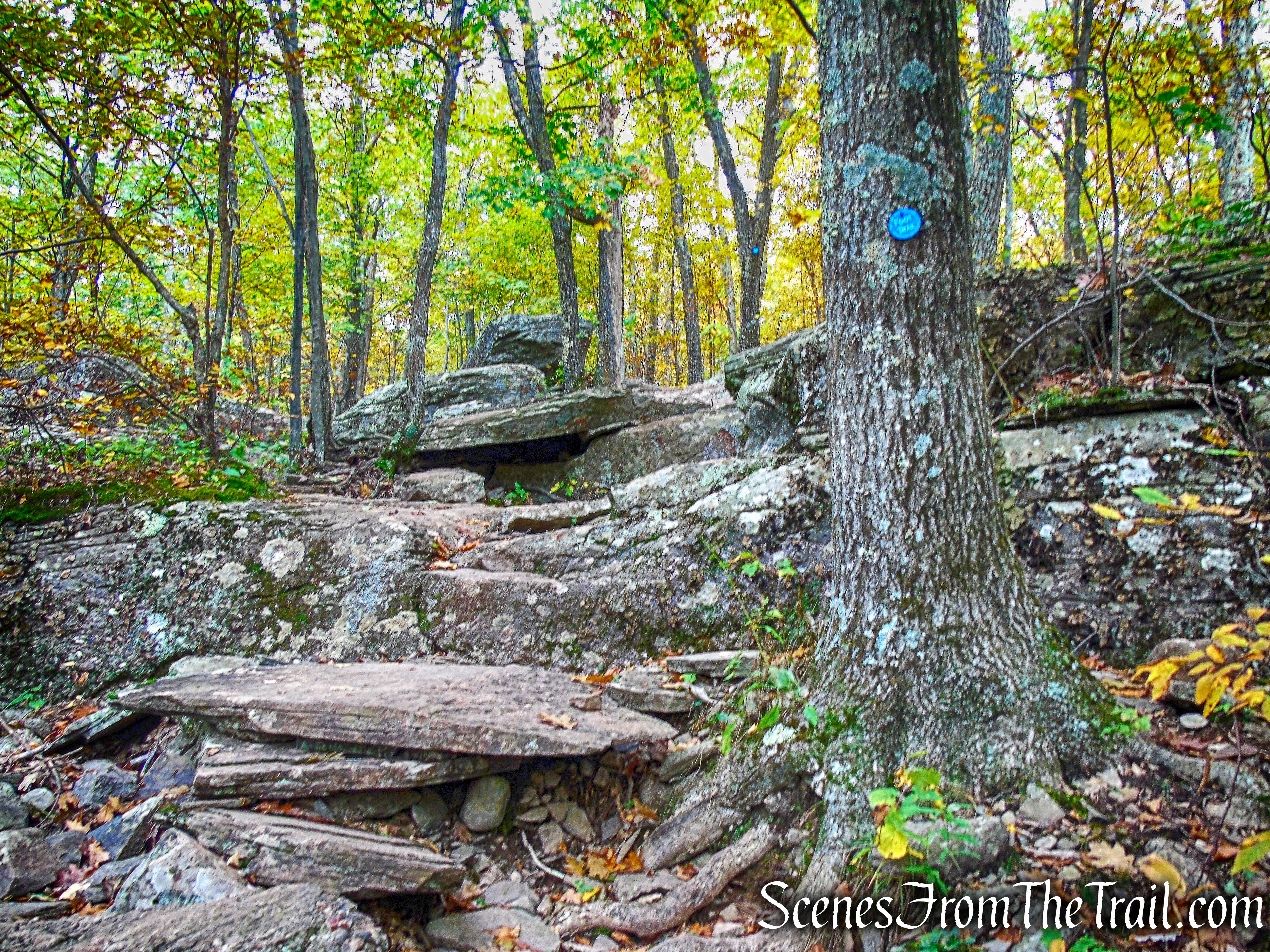 Escarpment Trail