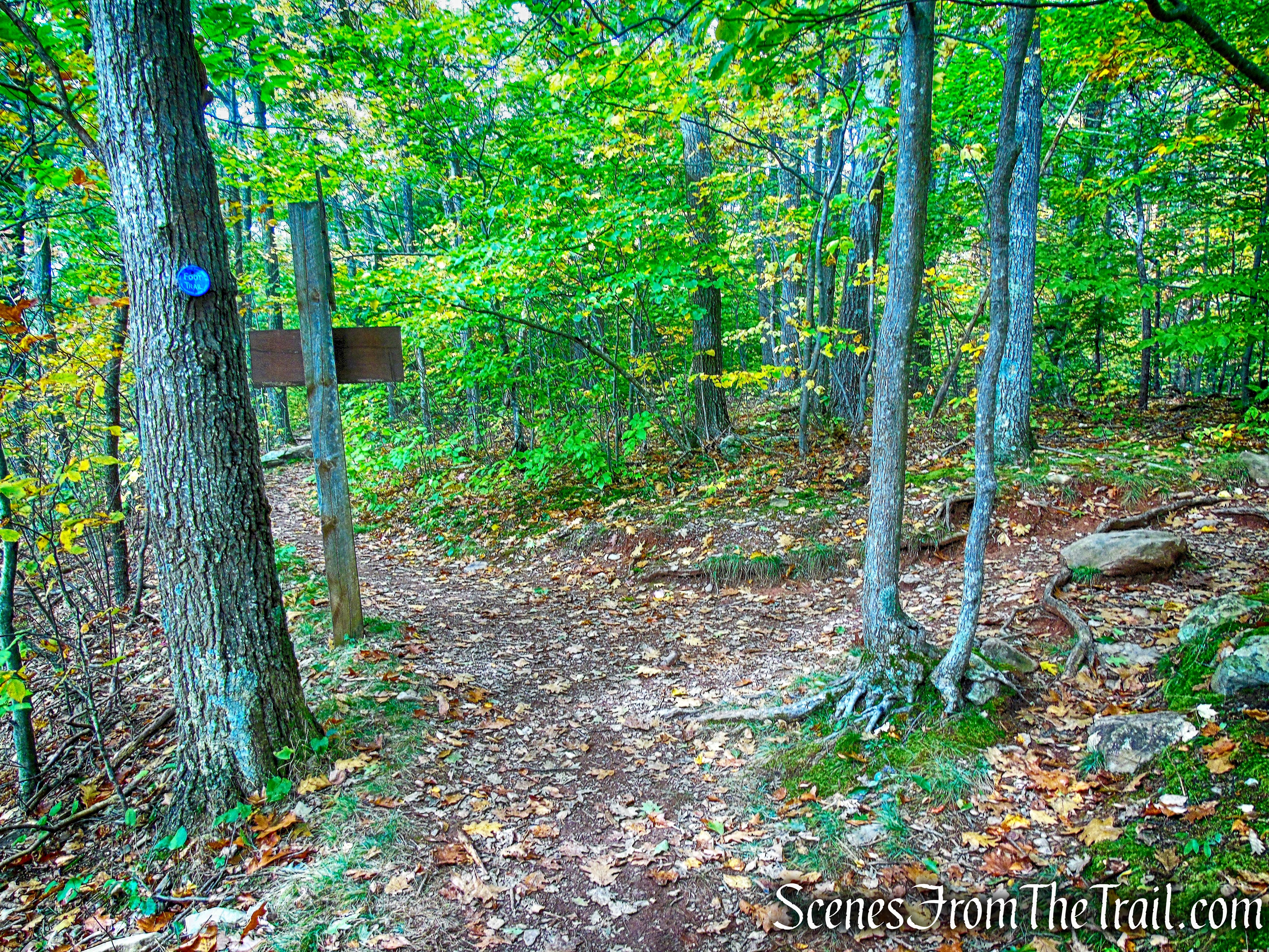 turn right on Yellow Connector Trail