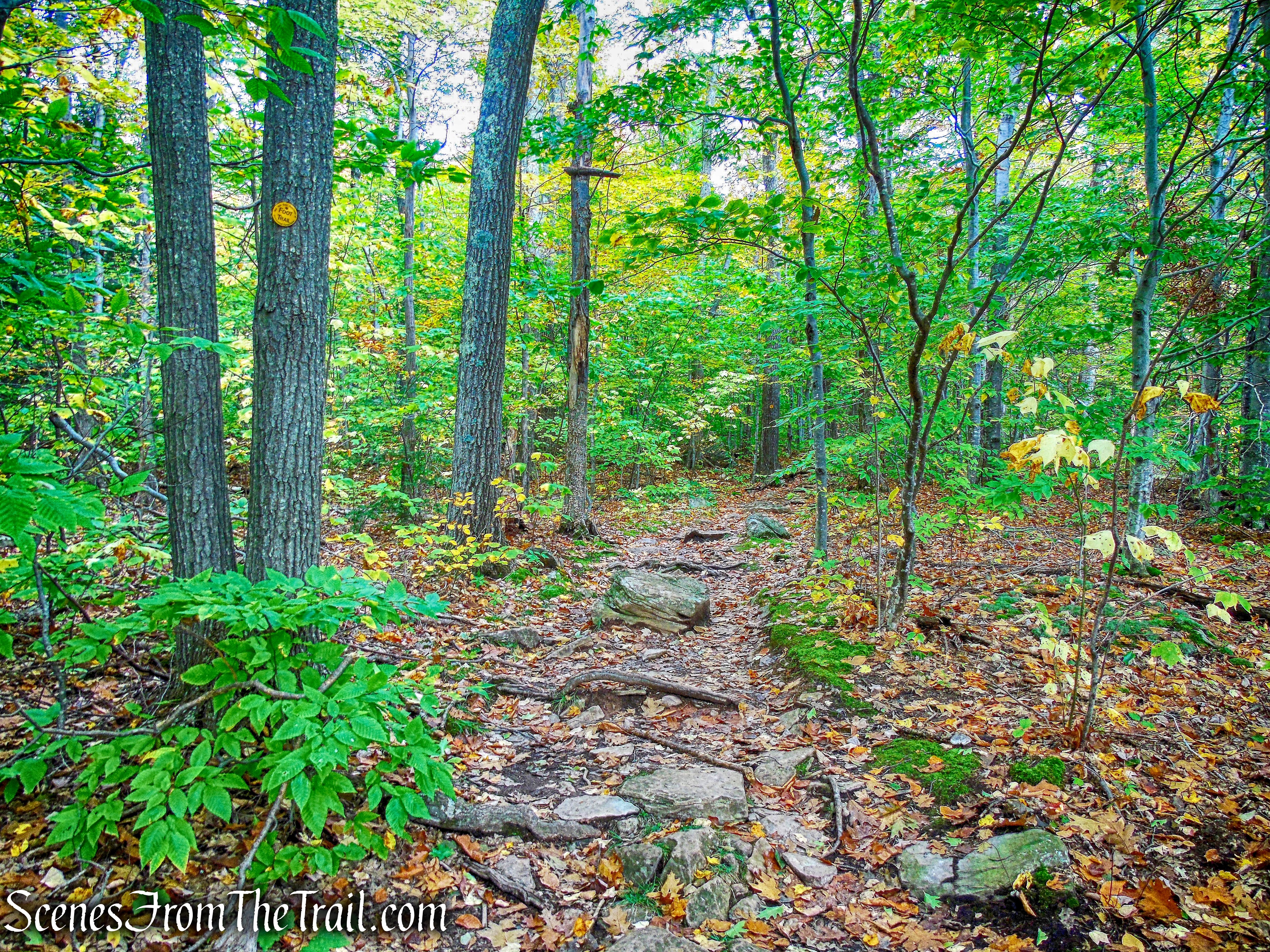 Yellow Connector Trail