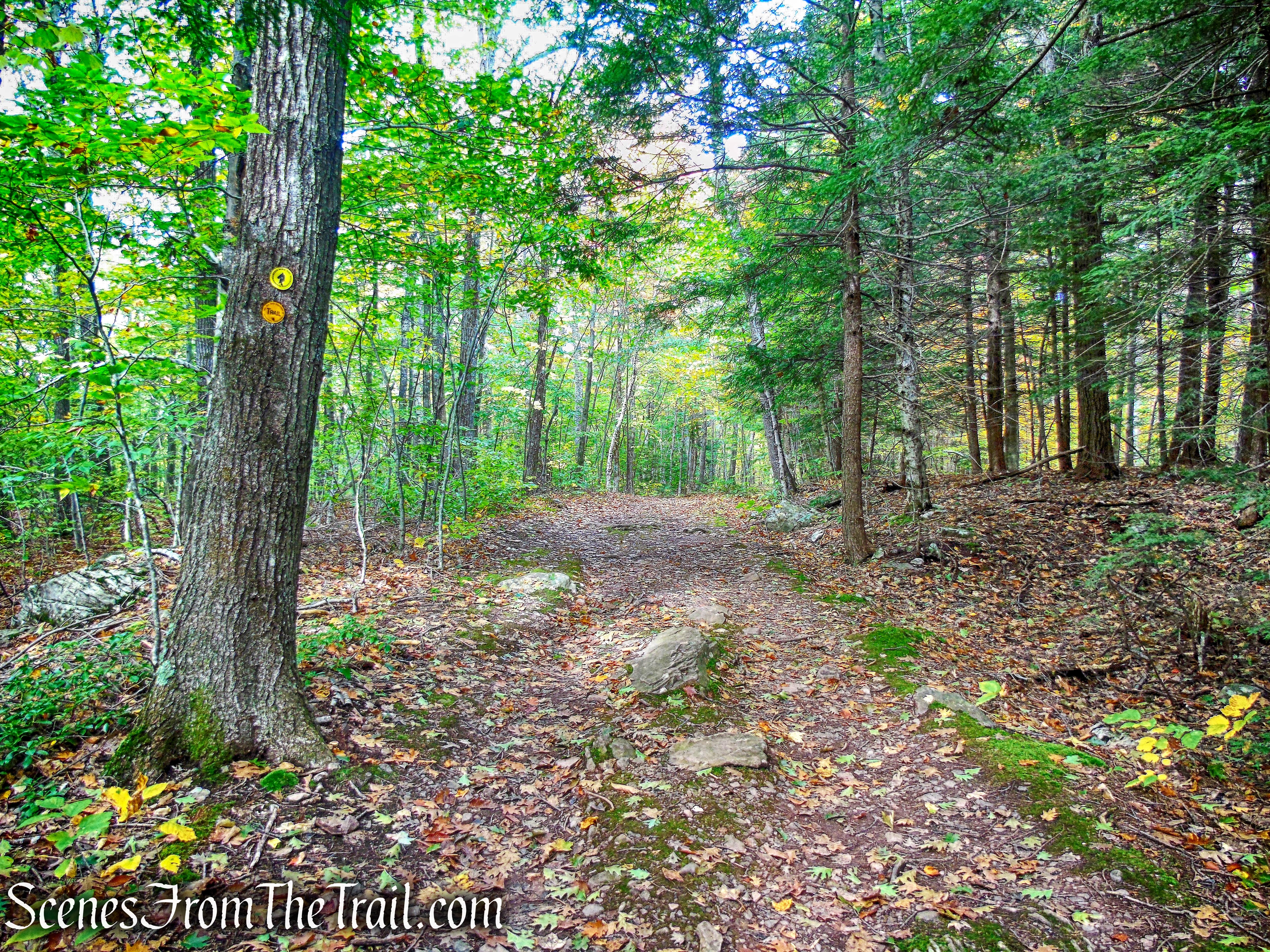 yellow-blazed Horse Trail