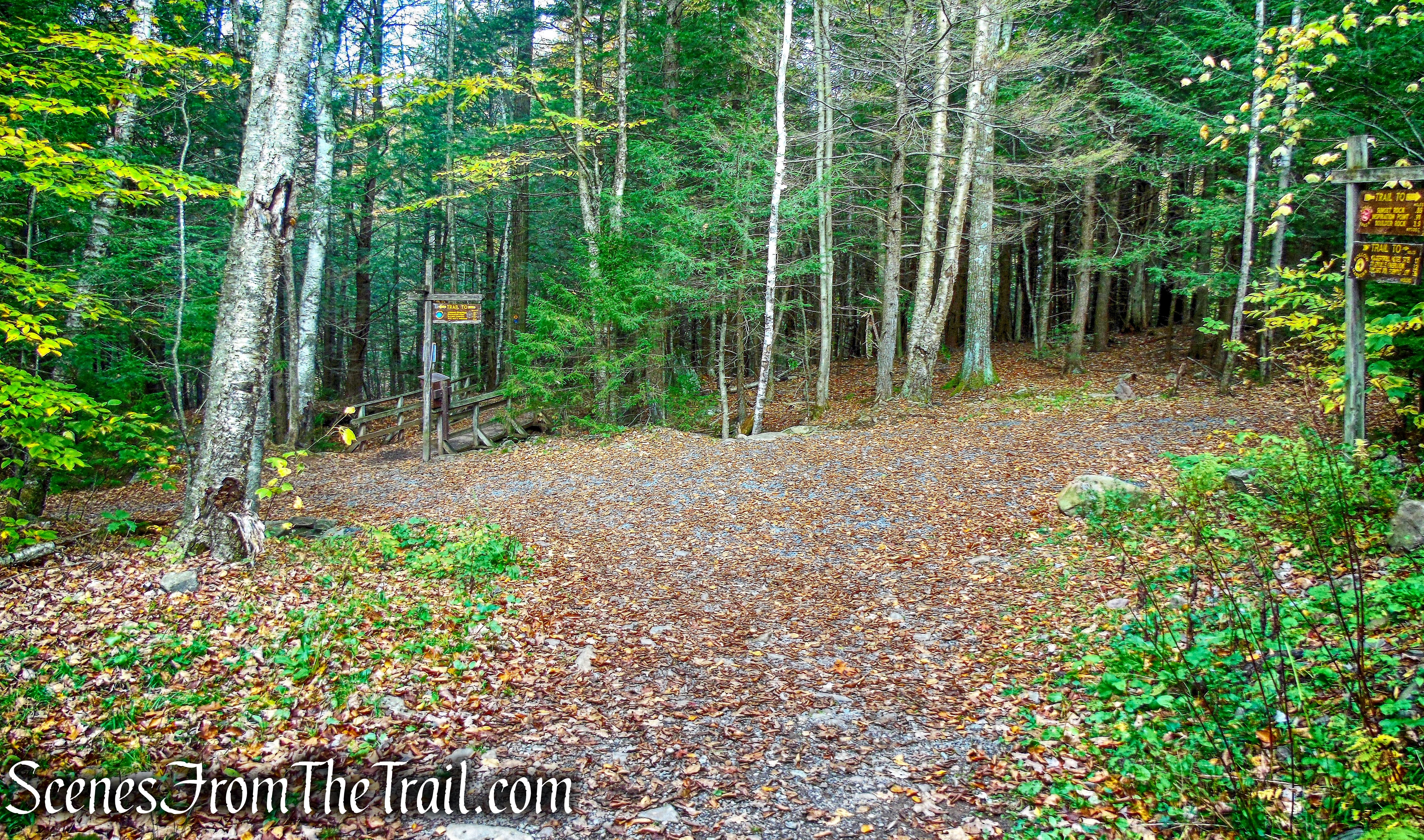 turn left on Escarpment Trail