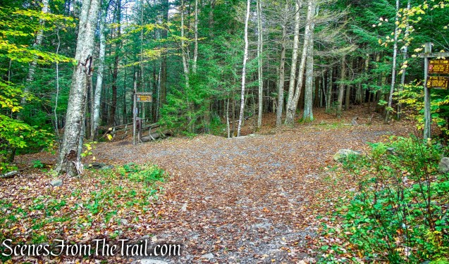 turn left on Escarpment Trail