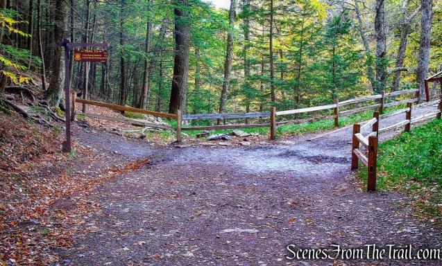 turn right on Kaaterskill Falls Trail