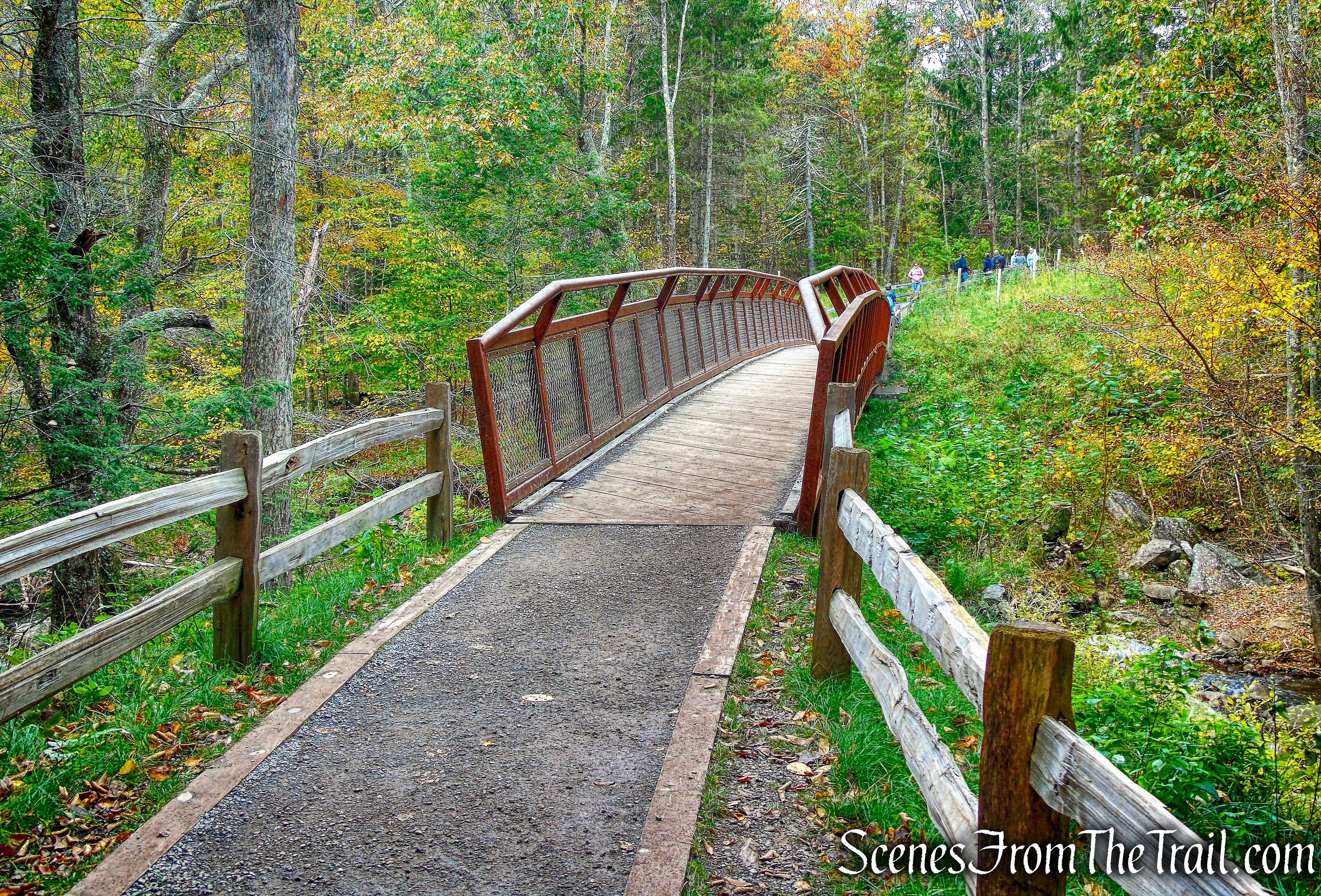 Kaaterskill Falls Trail