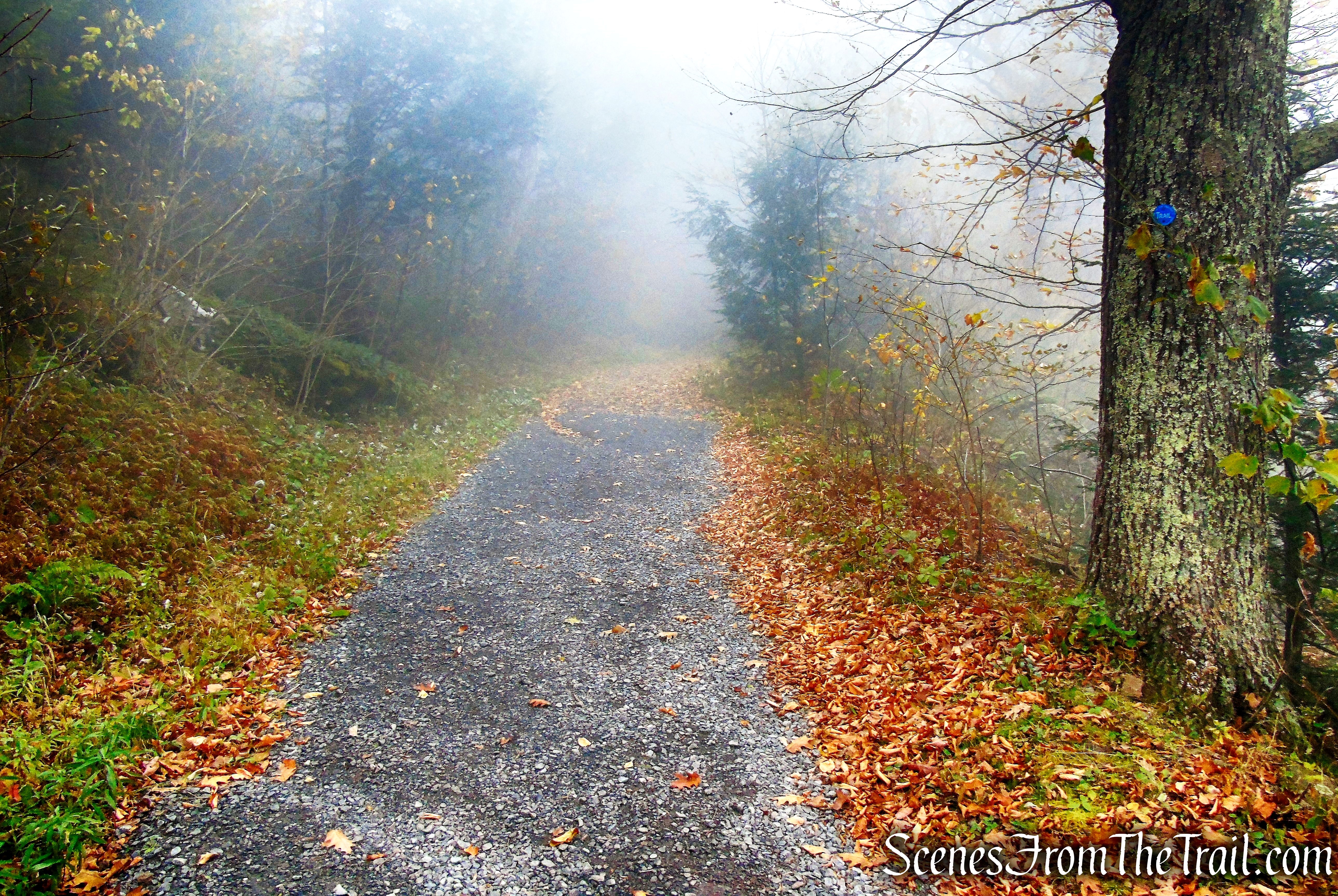 Escarpment Trail