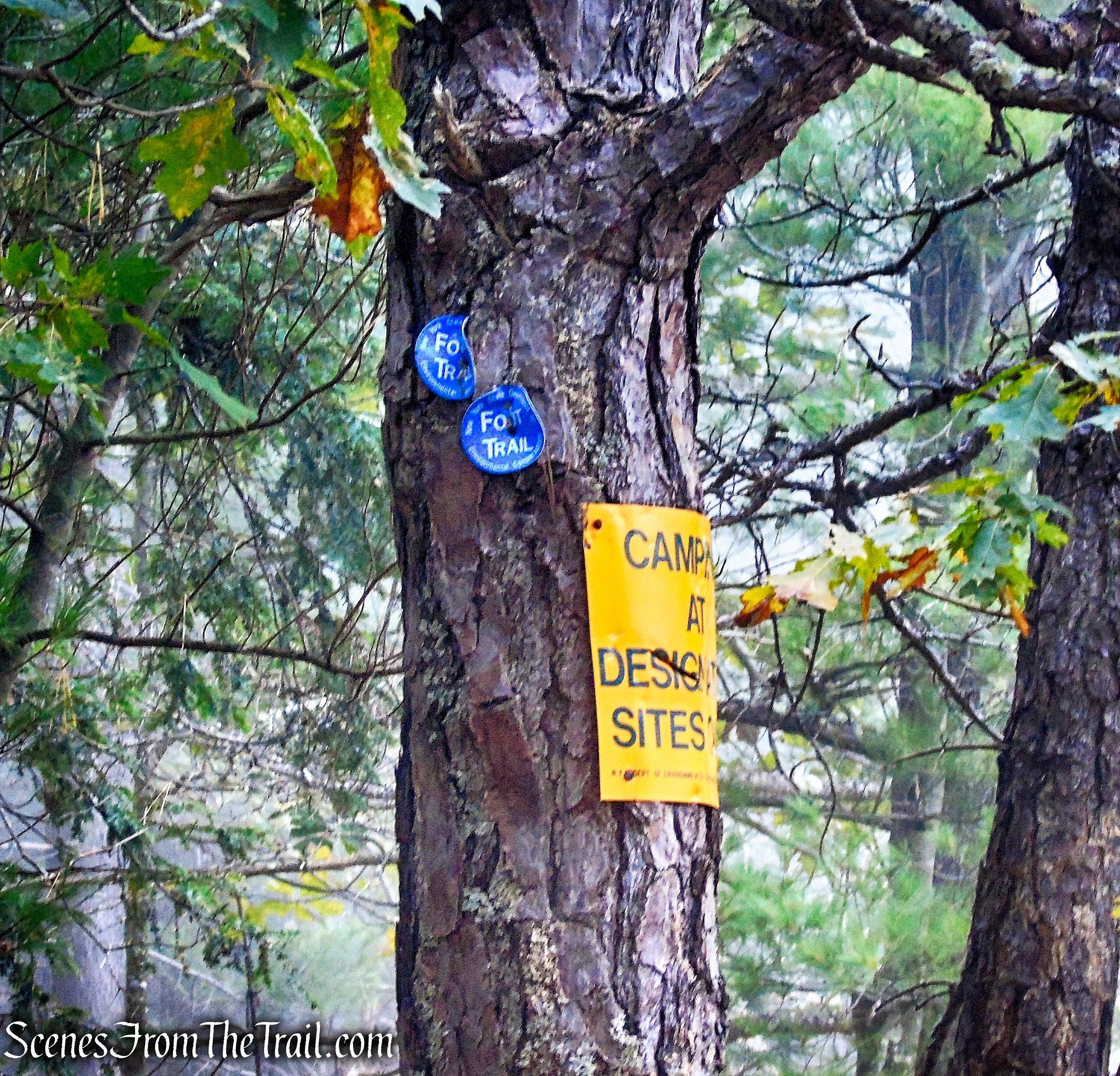 Escarpment Trail