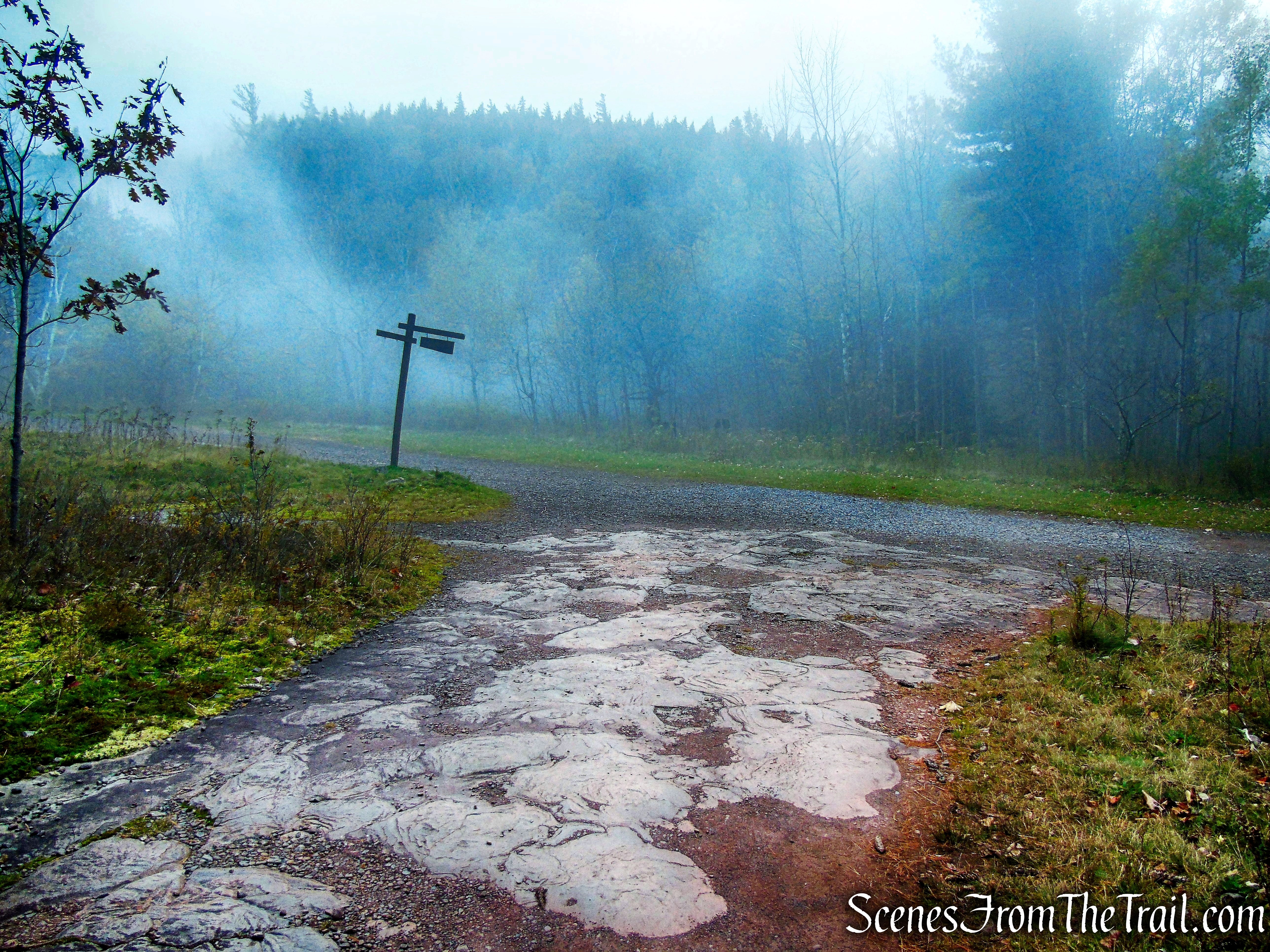 Escarpment Trail