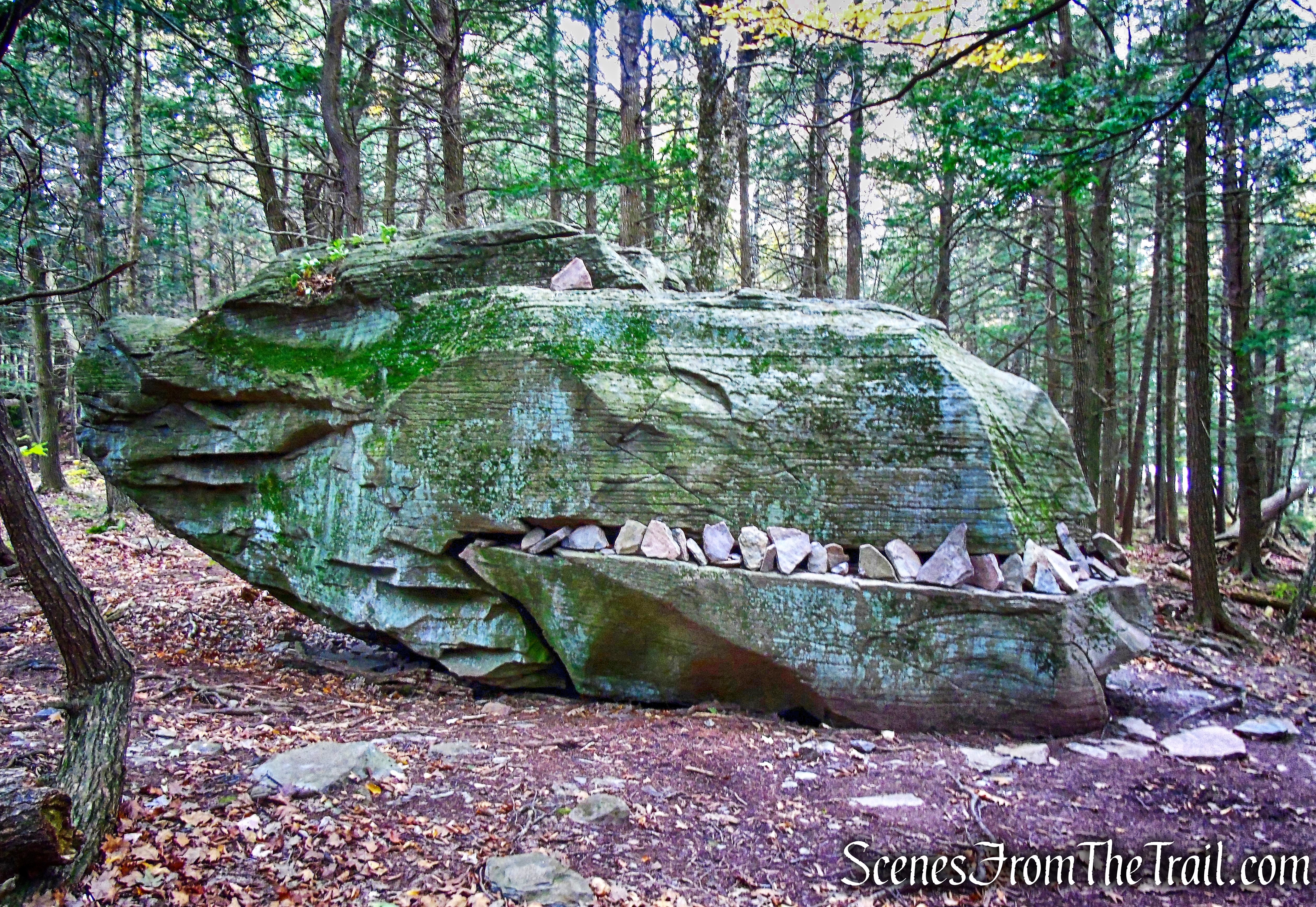Dinosaur Rock