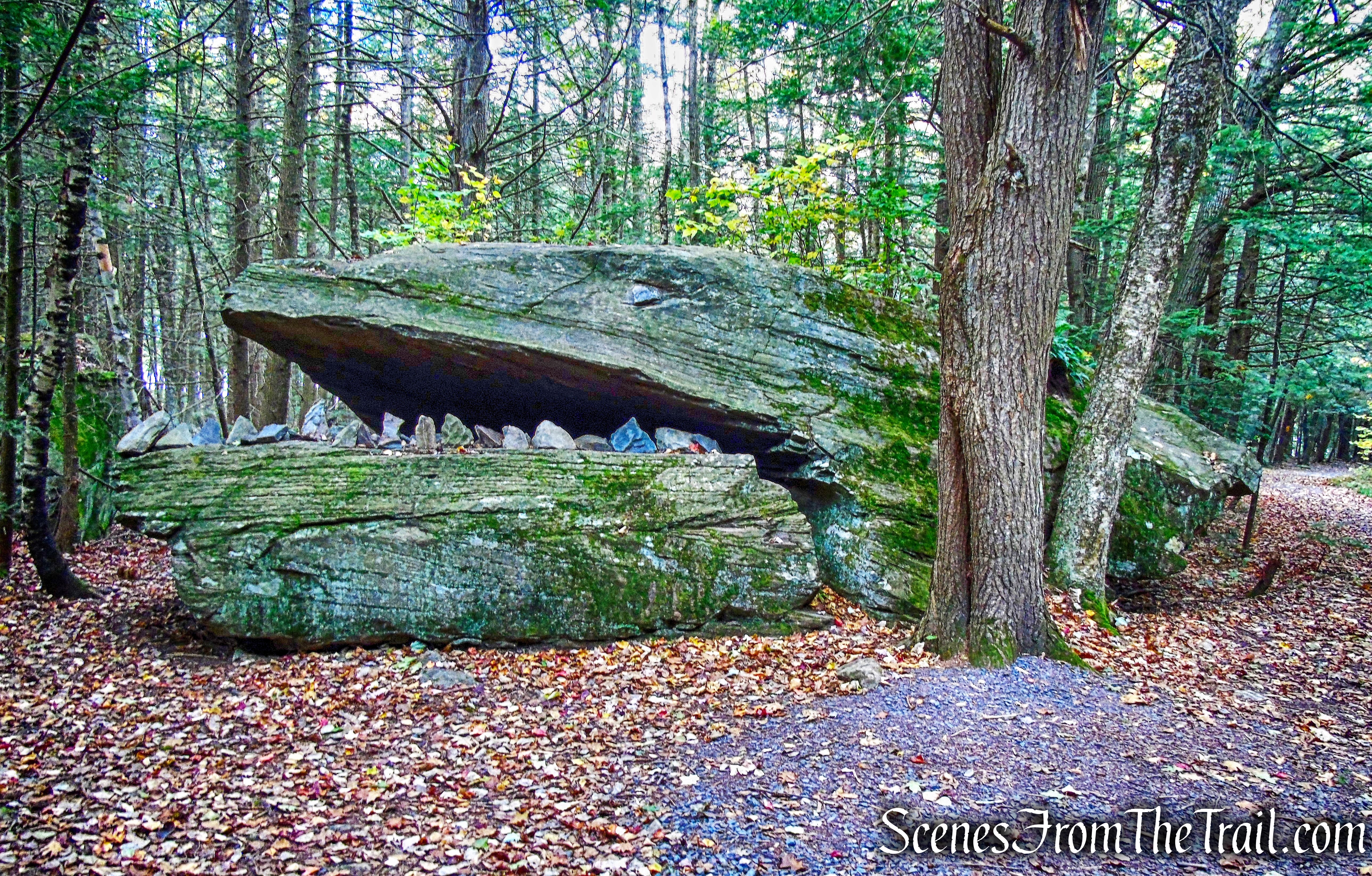 Alligator Rock