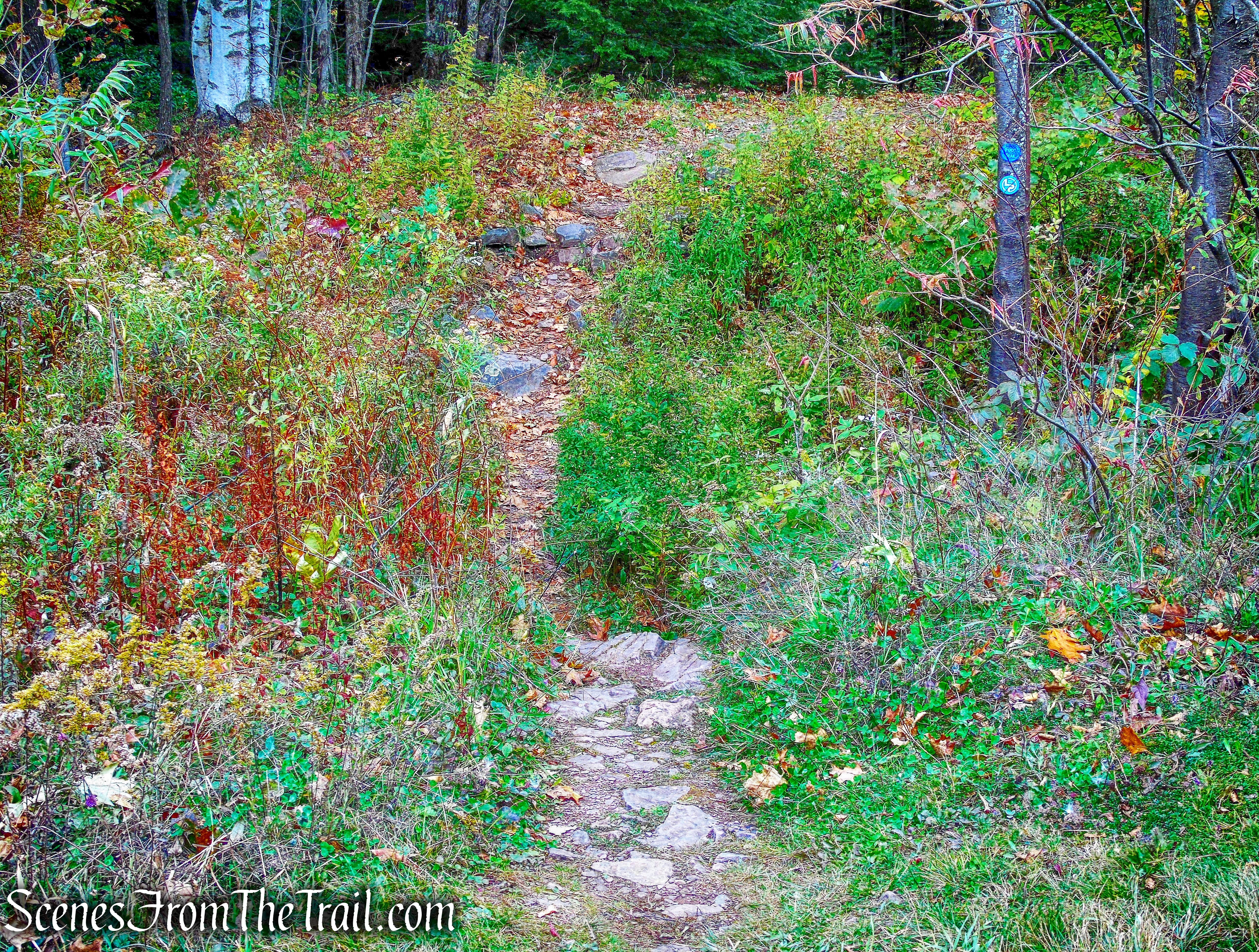 Escarpment Trail