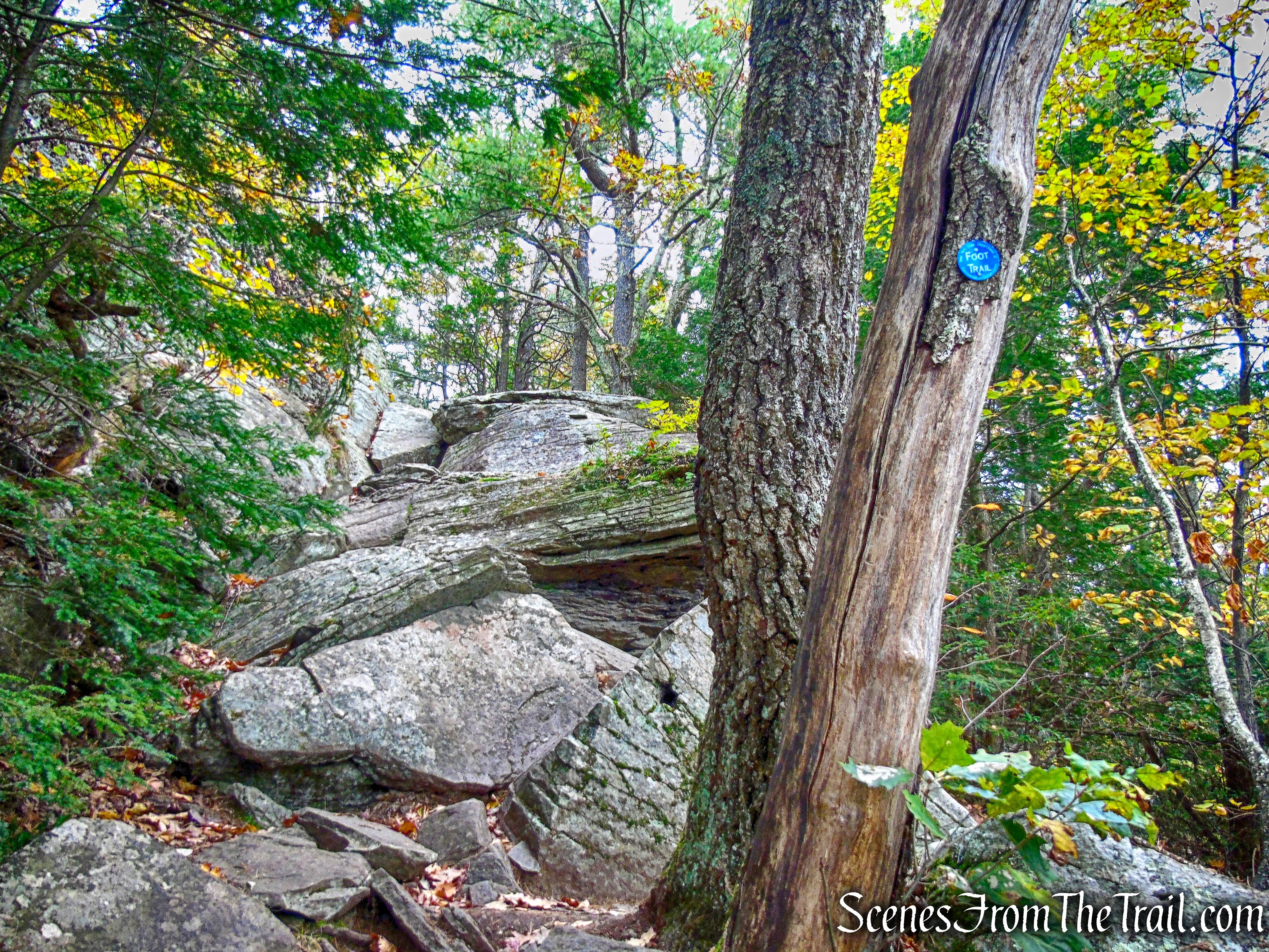 Escarpment Trail