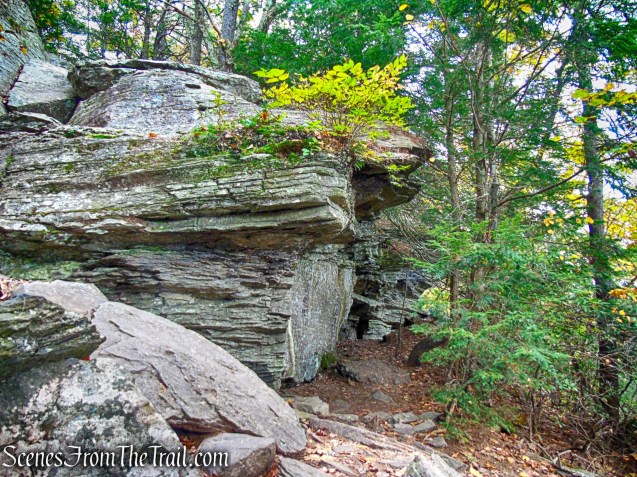 rock overhang - Escarpment Trail