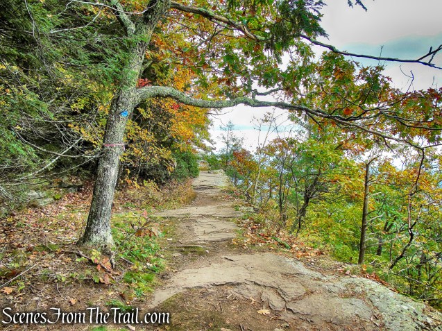 Escarpment Trail