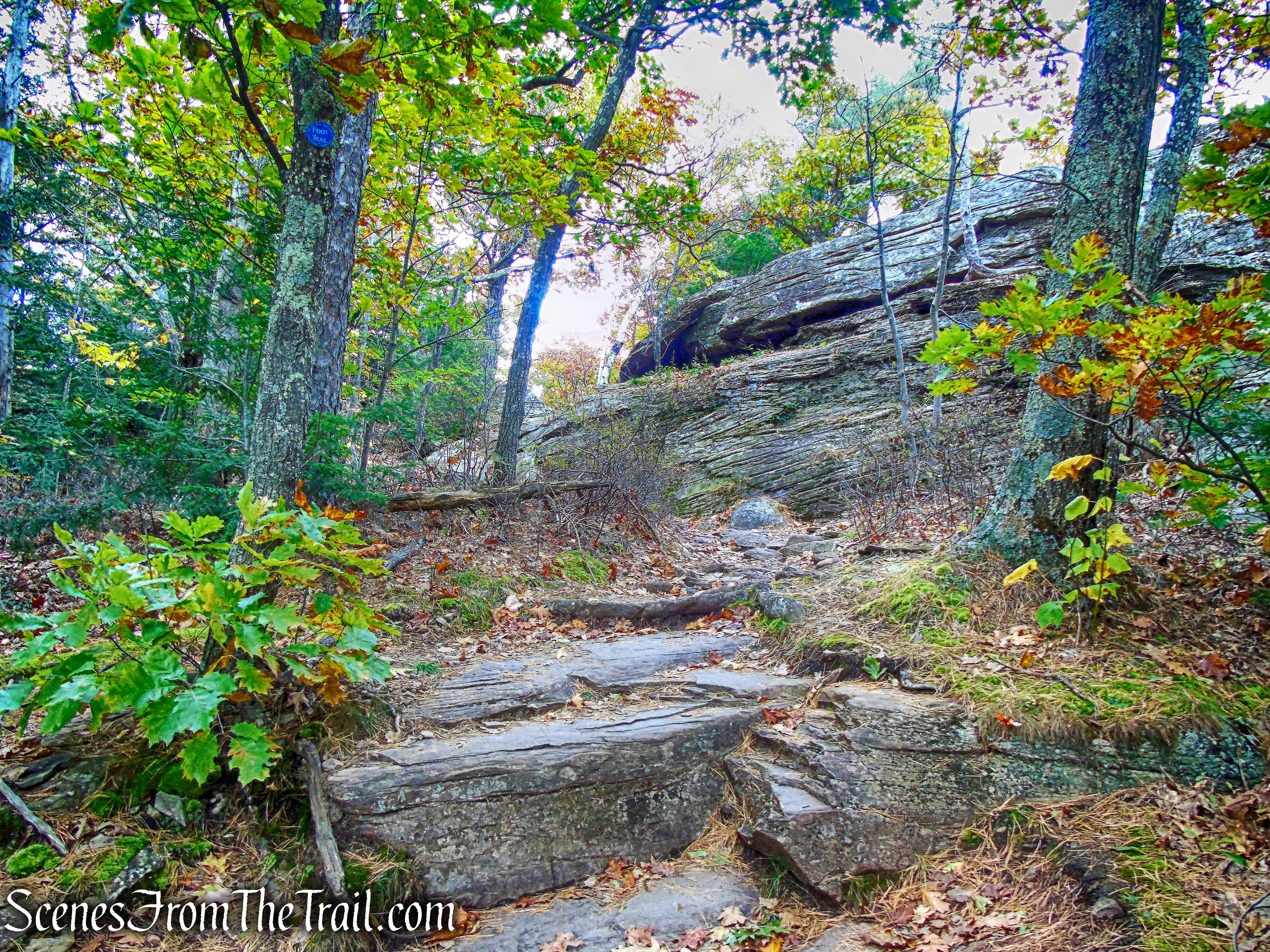 Escarpment Trail