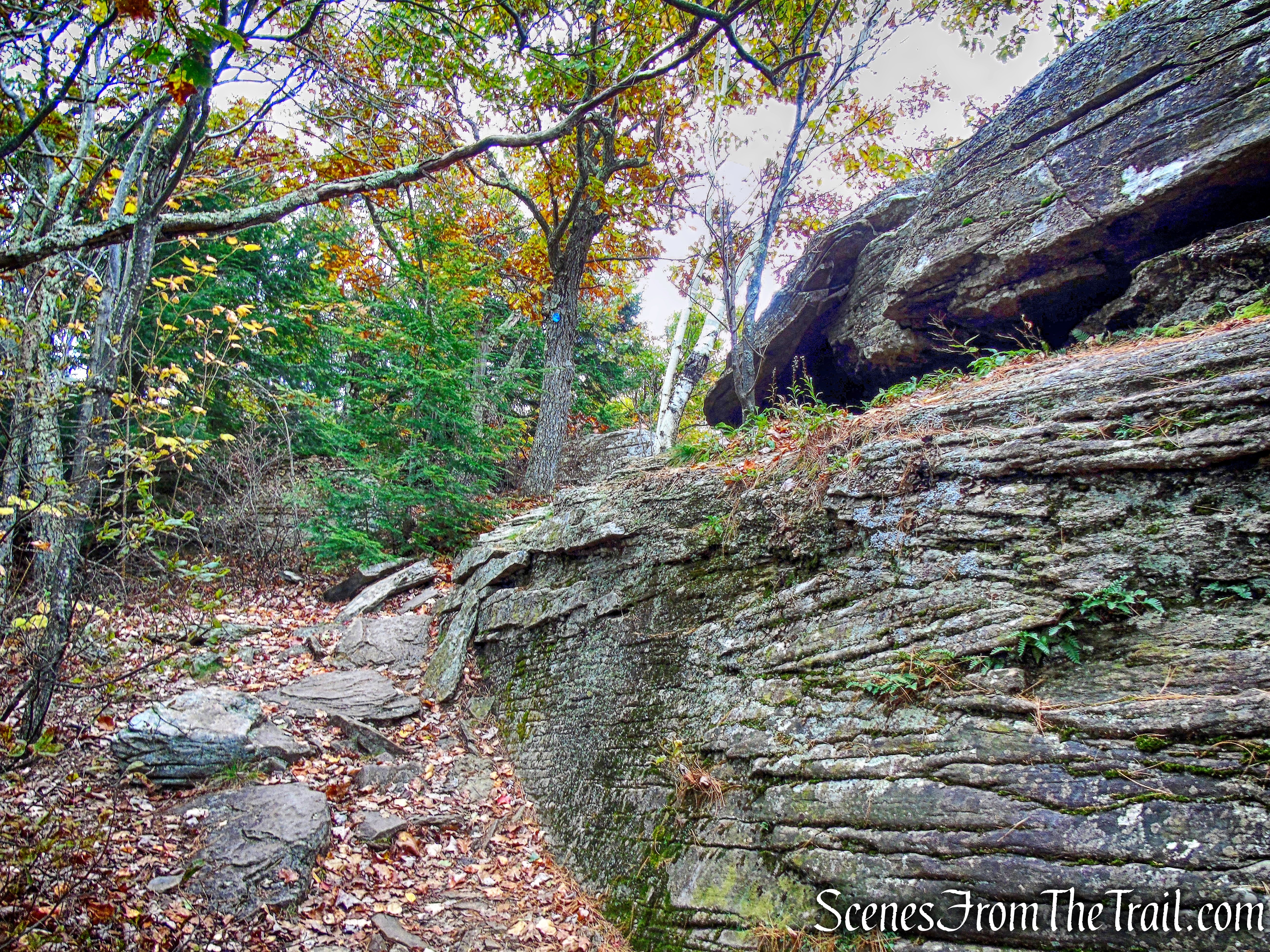 Escarpment Trail