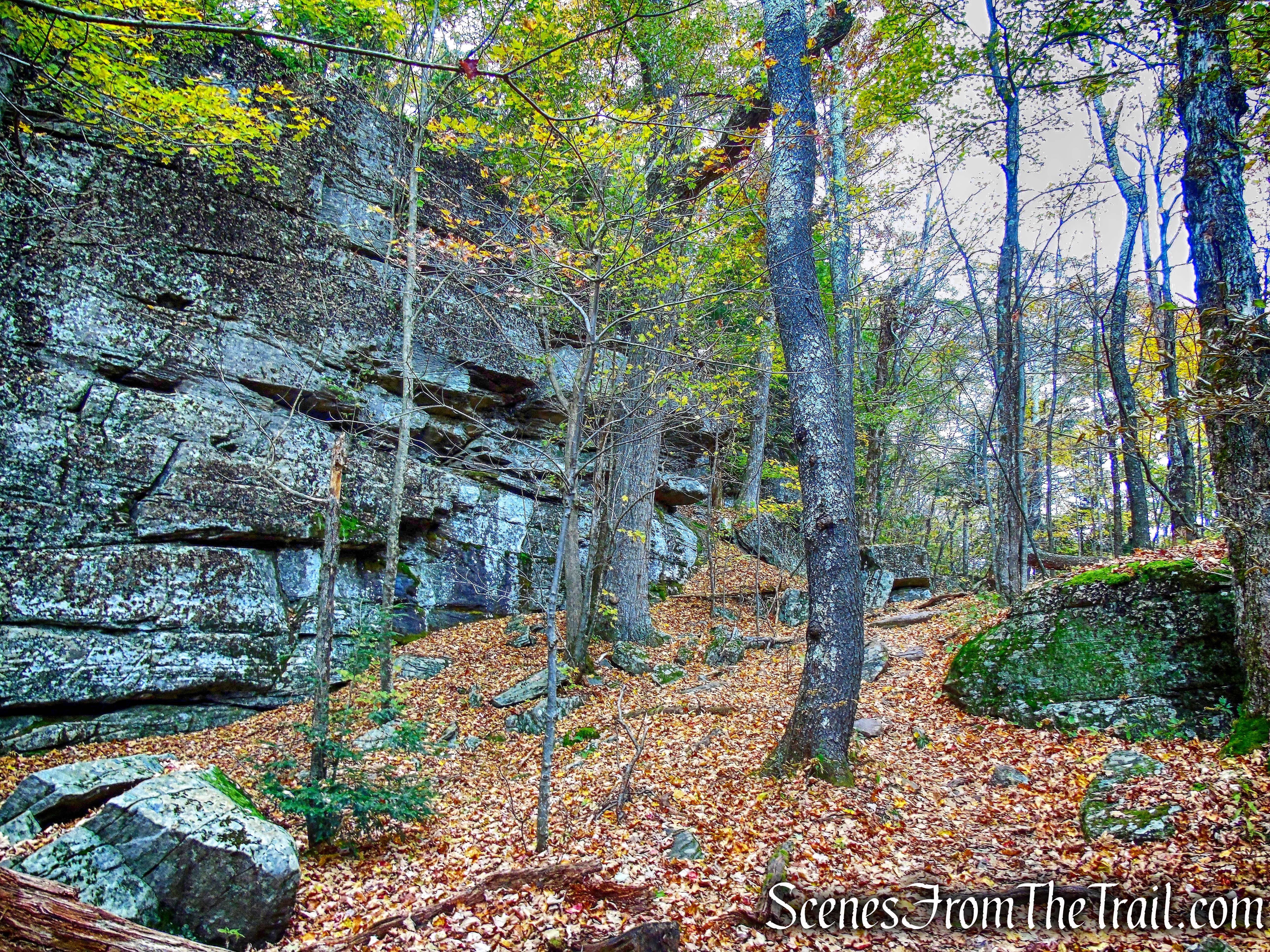 Escarpment Trail