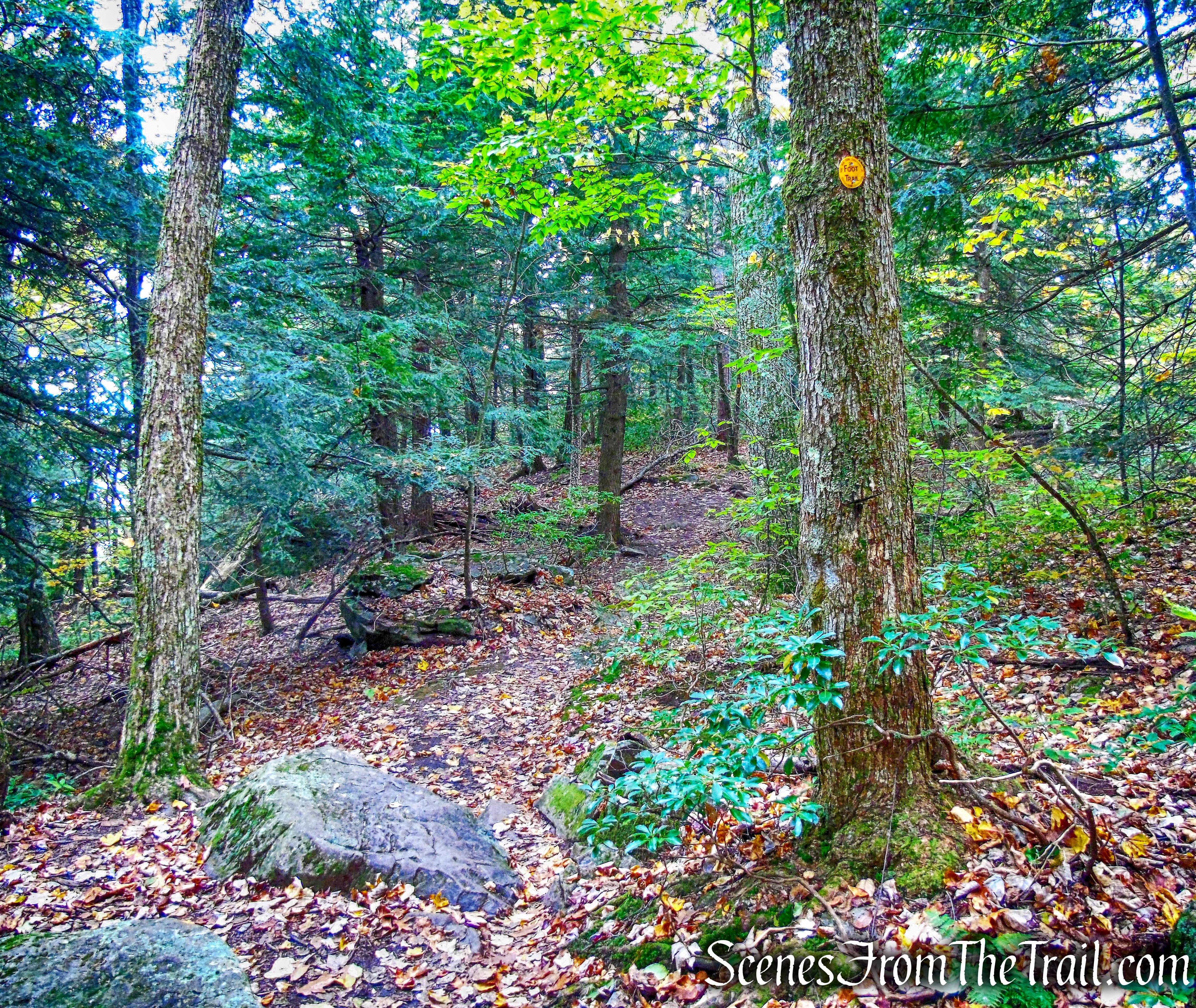 Sunset Rock Trail