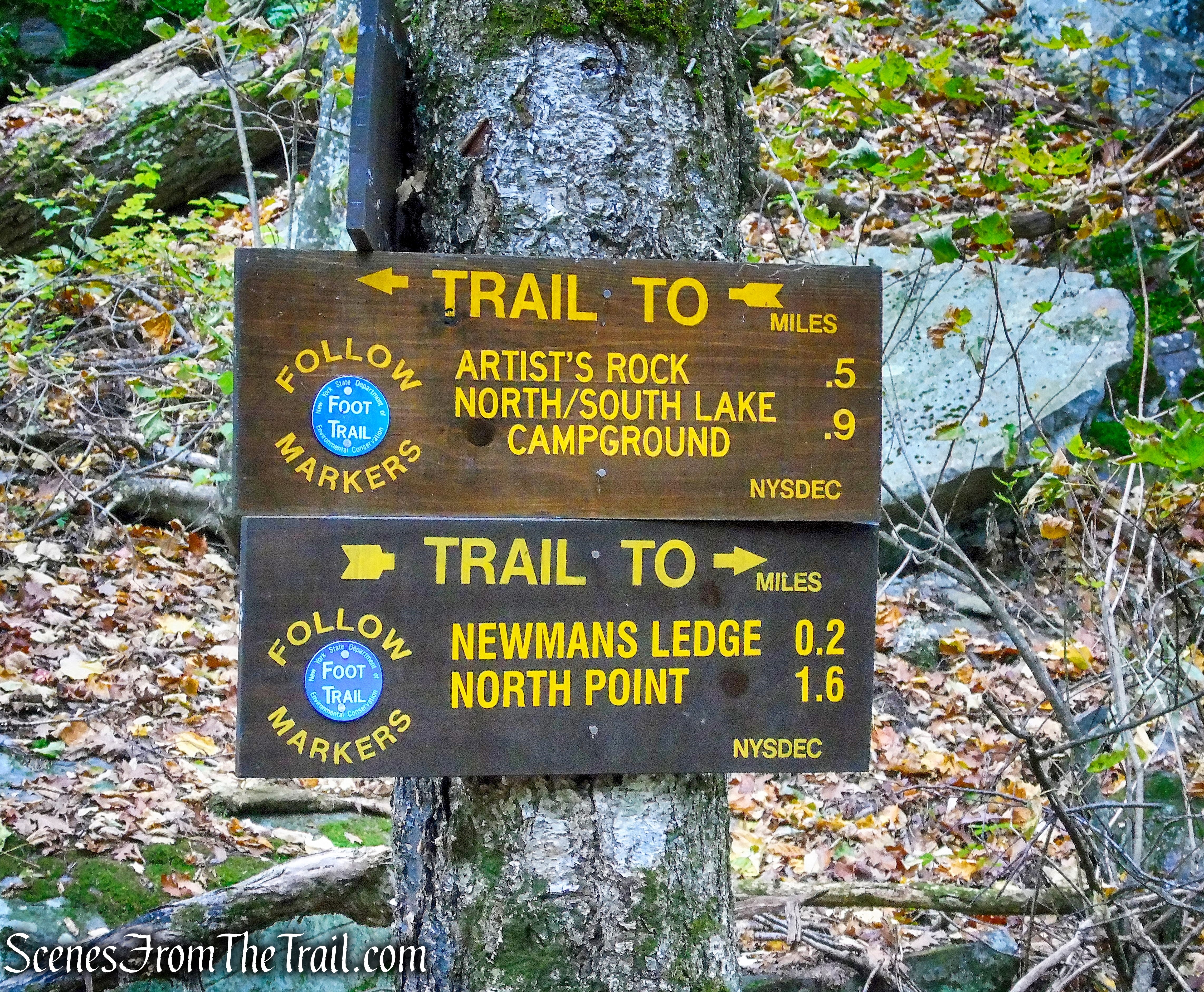 Escarpment Trail