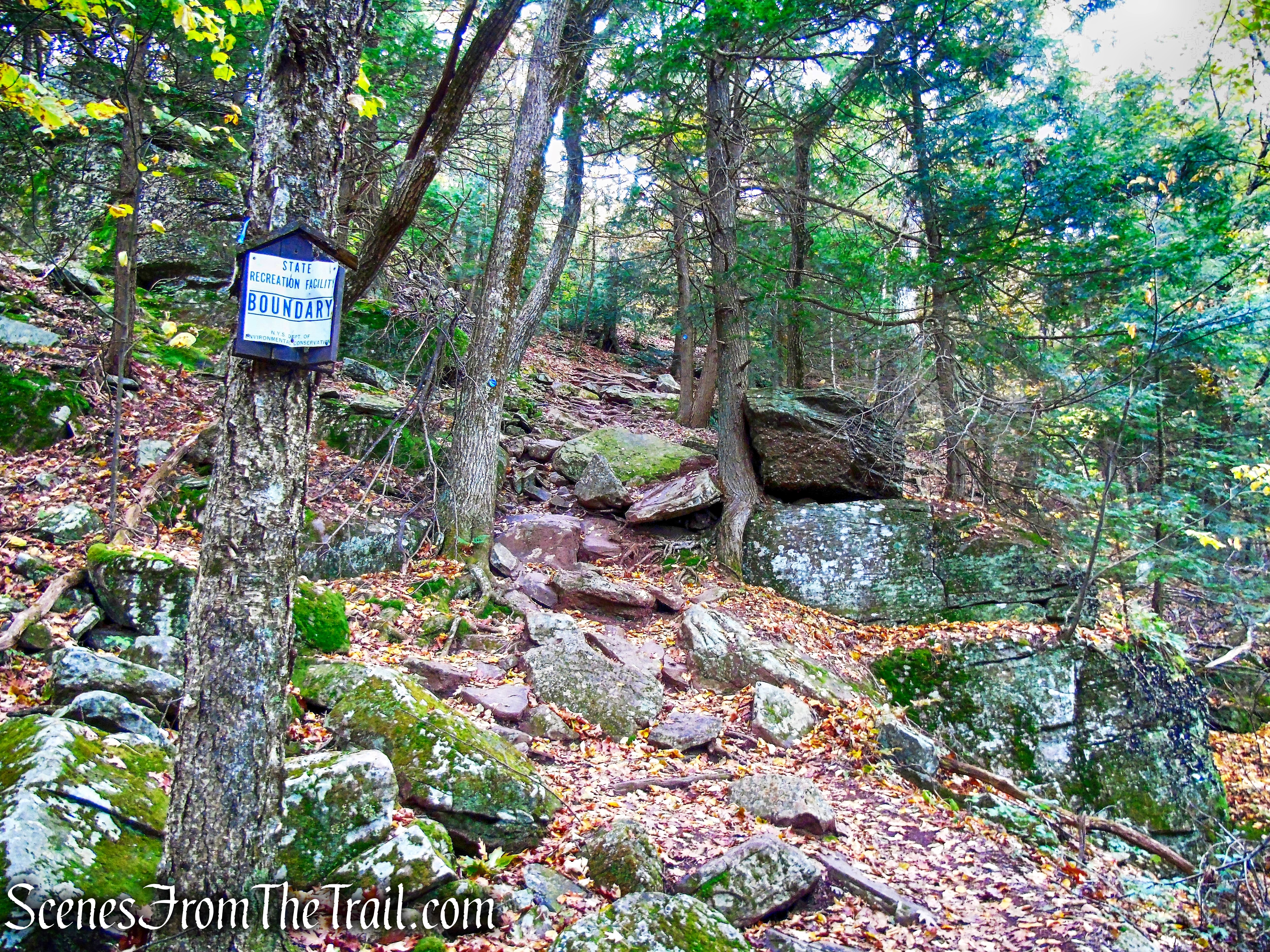 Escarpment Trail