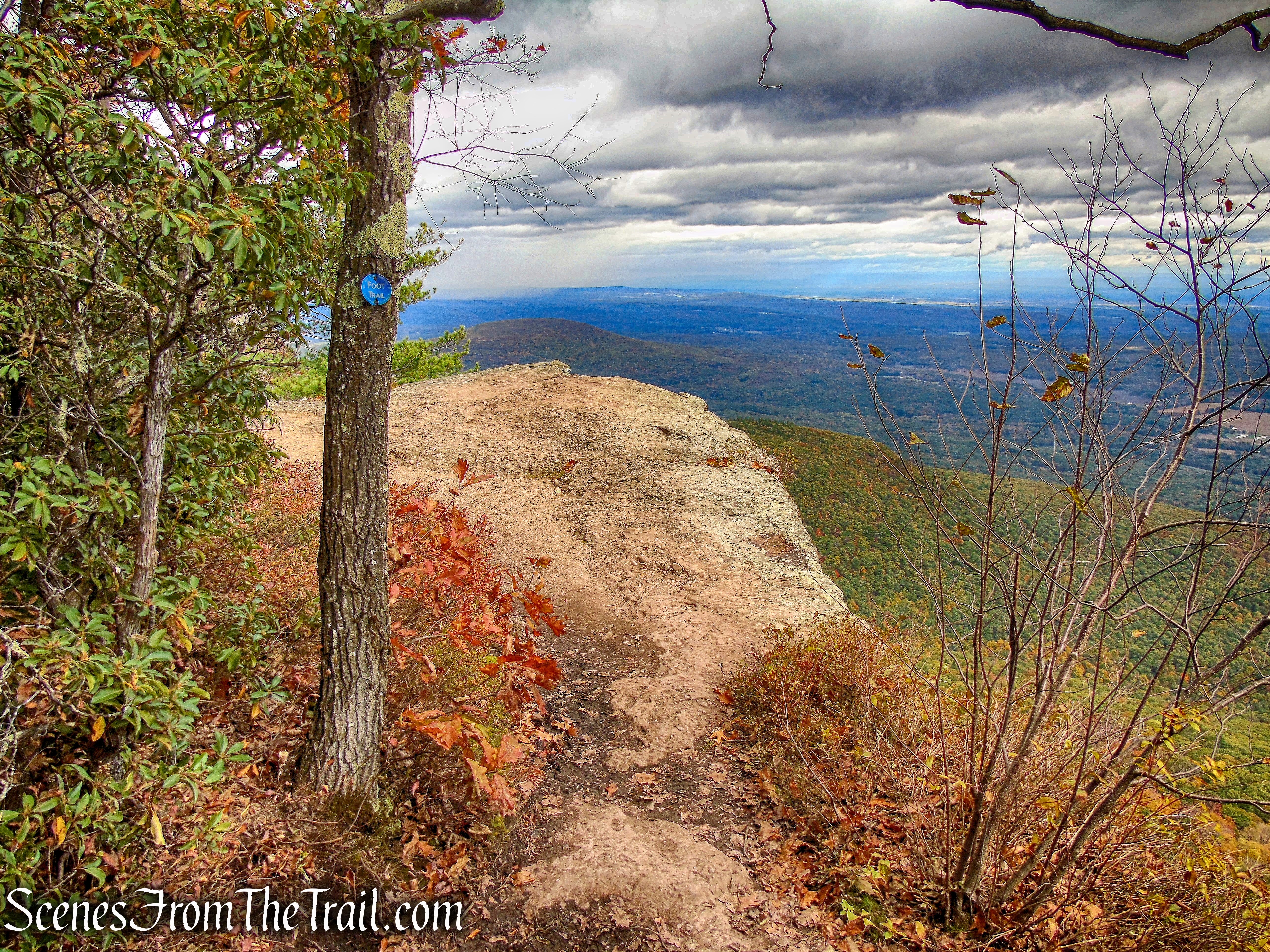 Newman's Ledge