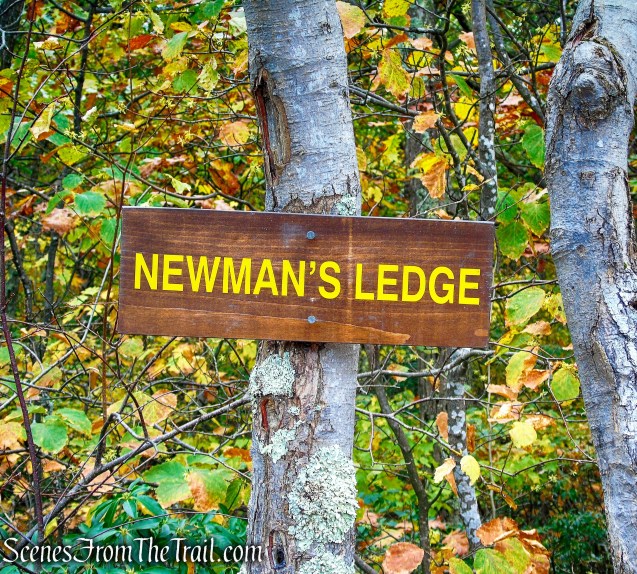 Newman's Ledge