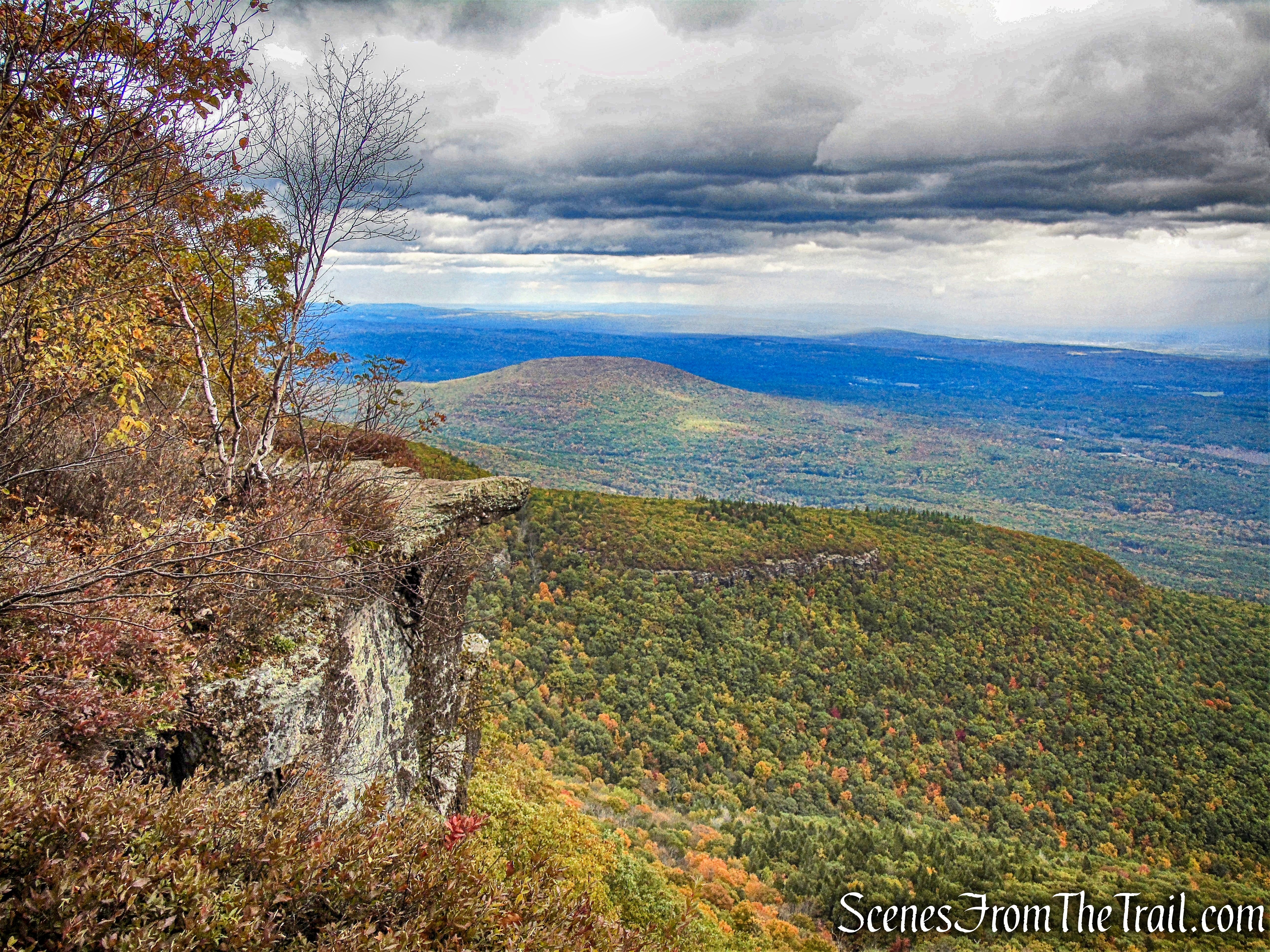 Newman's Ledge