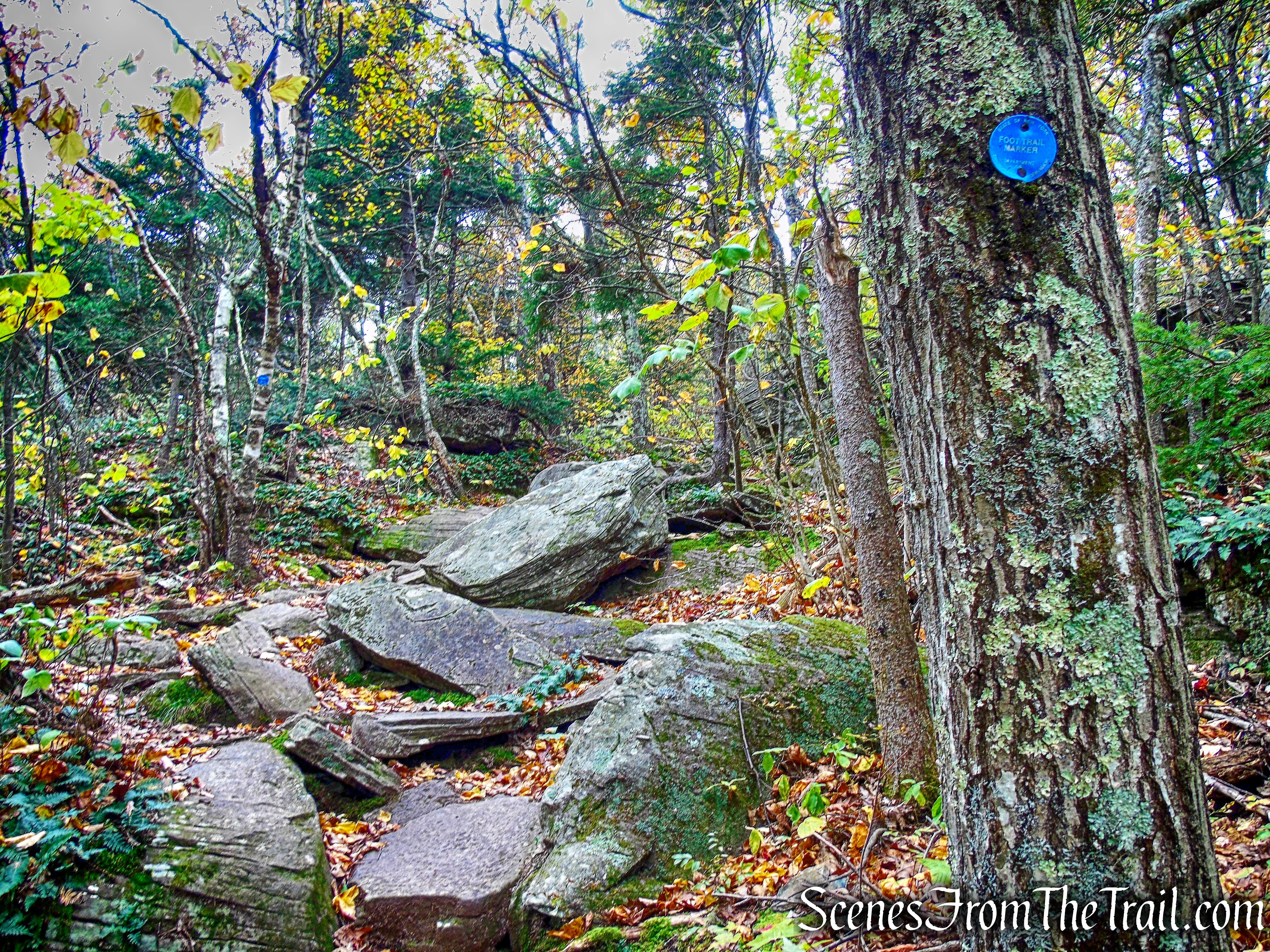 Escarpment Trail