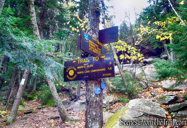 turn left on yellow-blazed Rock Shelter Trail