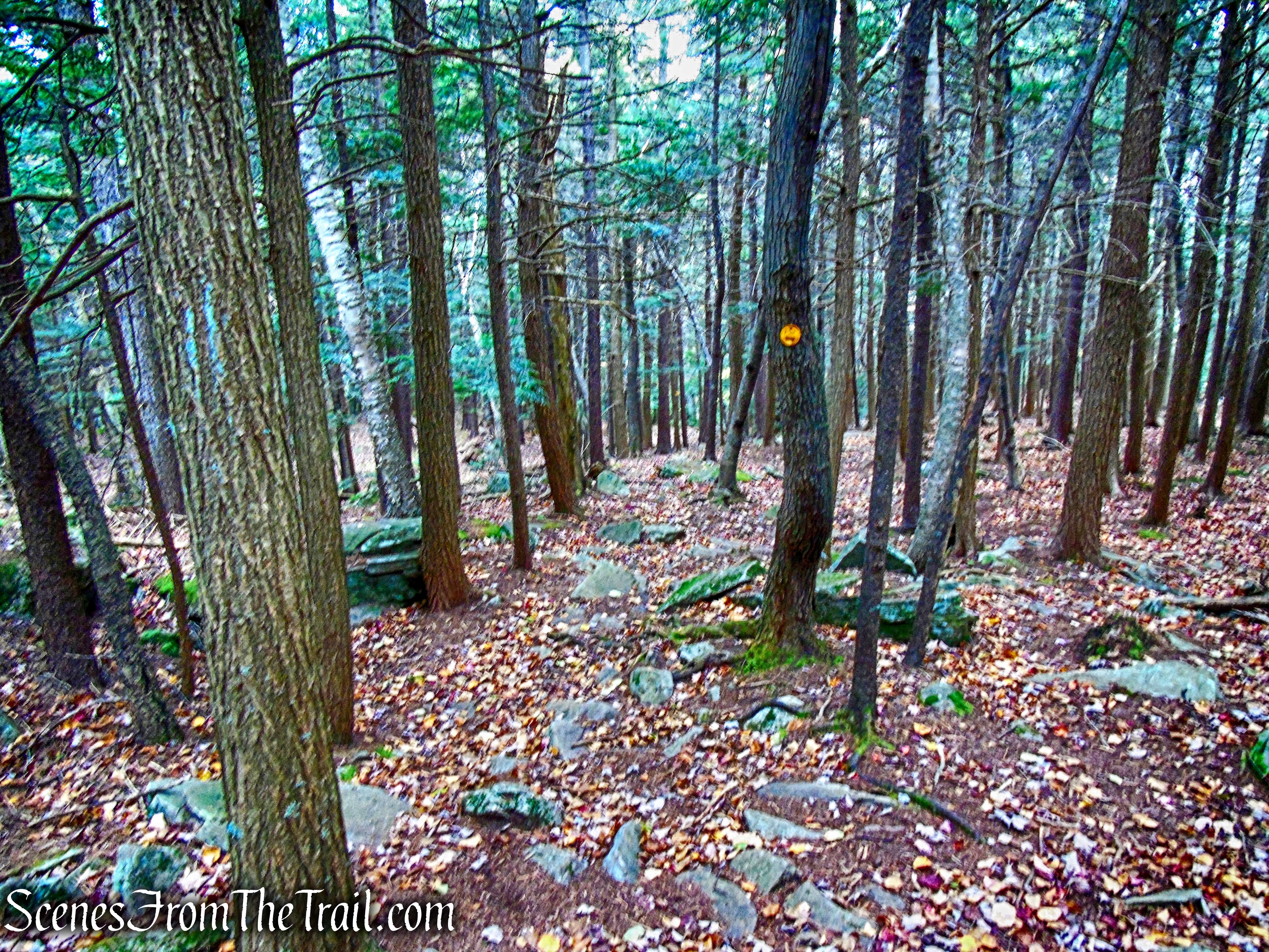 Rock Shelter Trail