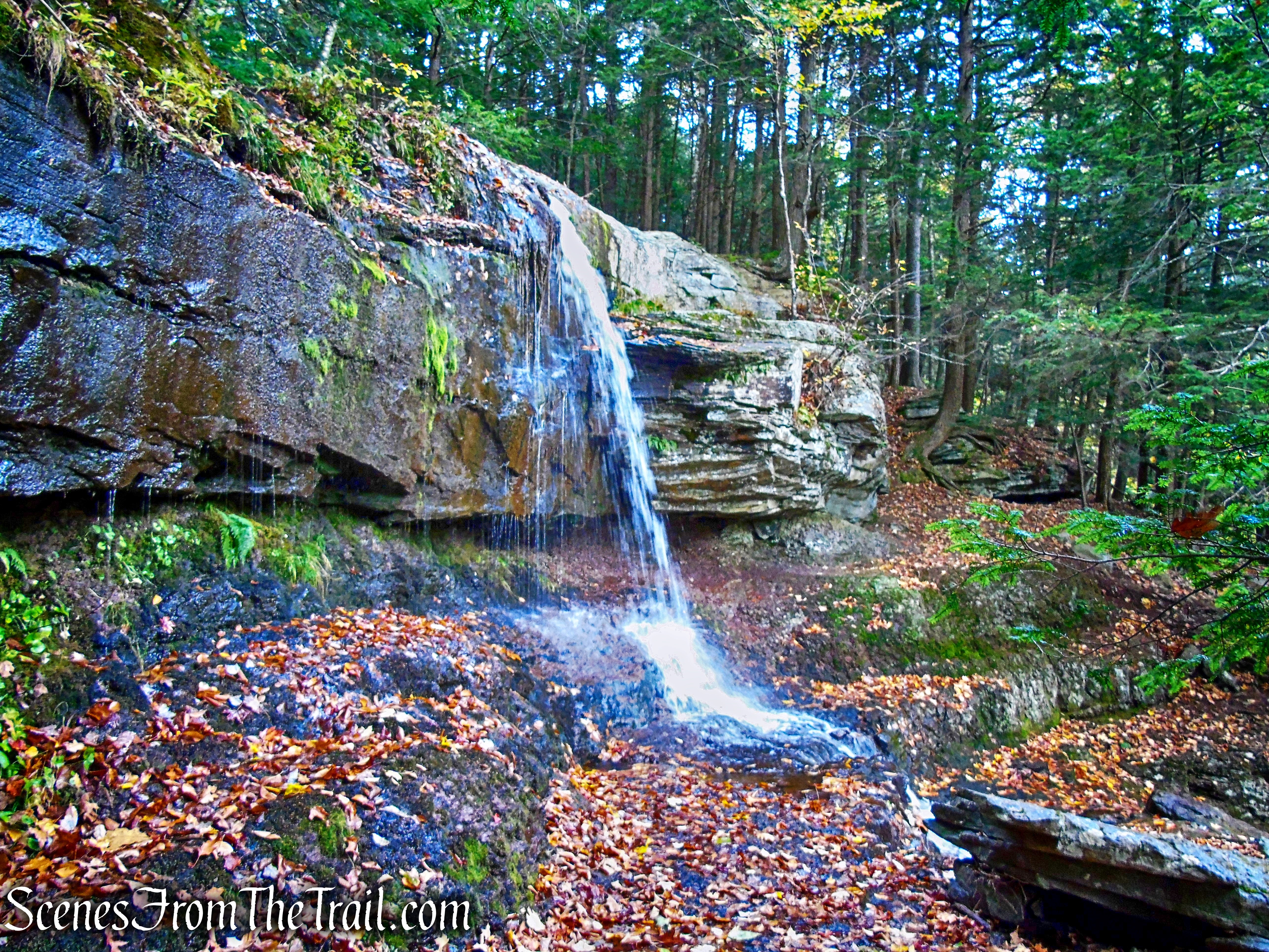 Ashley Falls