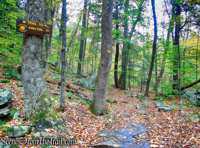 Ashley Falls Trail