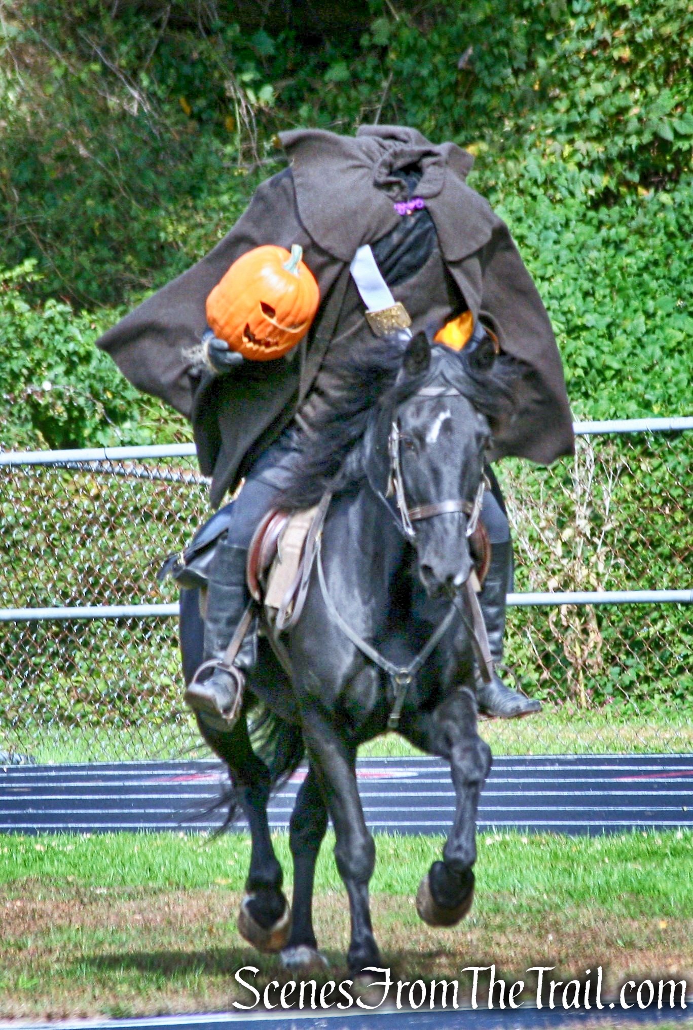 Headless Horsemen