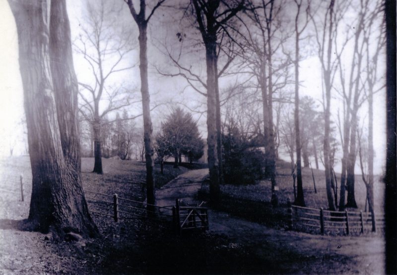 Cruger House Driveway 1900