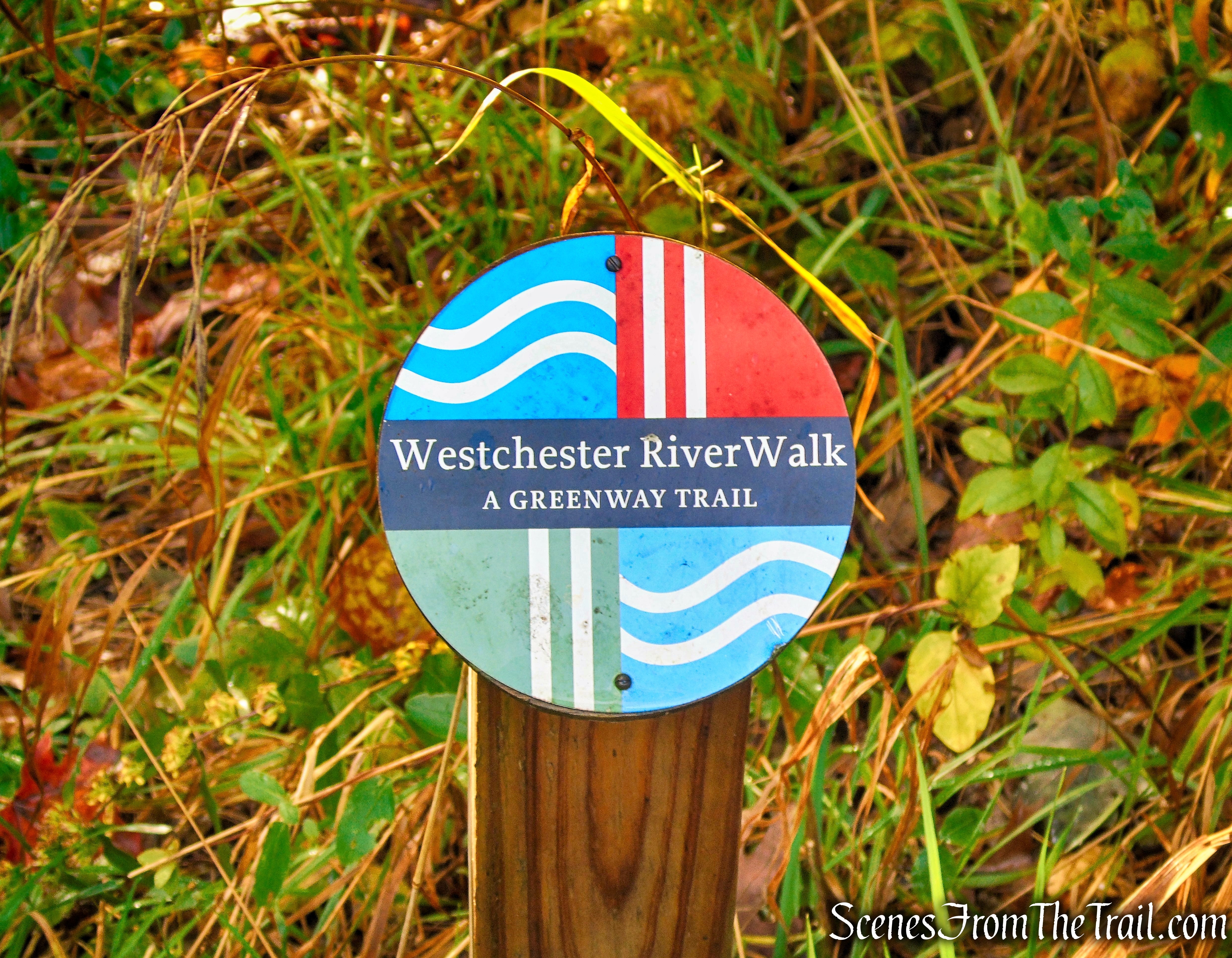 Greenway Trail - Montrose Point State Forest