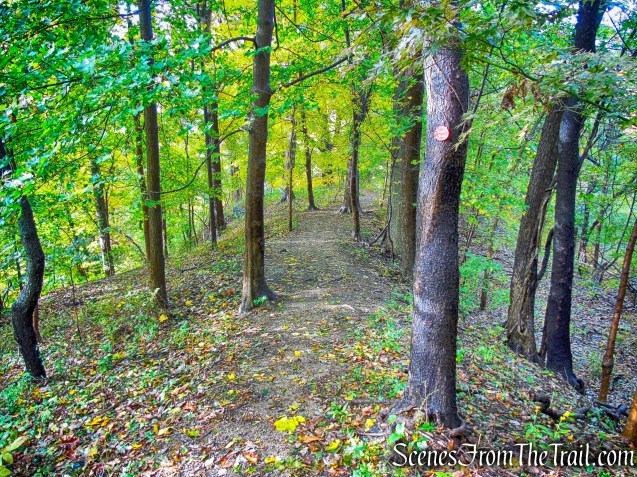 Red Trail - Montrose Point State Forest