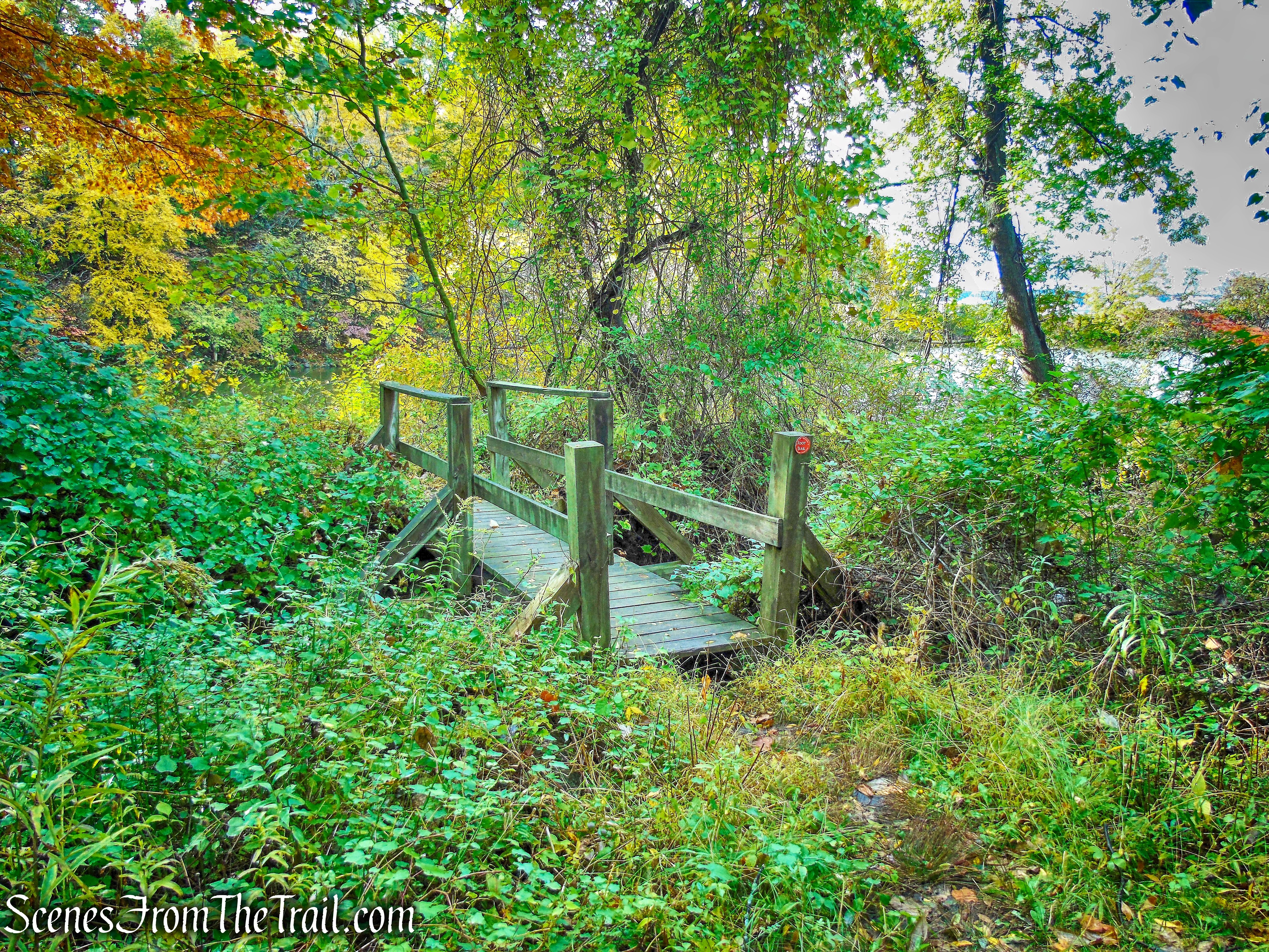 Red Trail - Montrose Point State Forest
