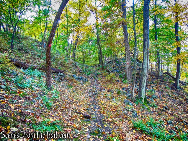 Red Trail - Montrose Point State Forest