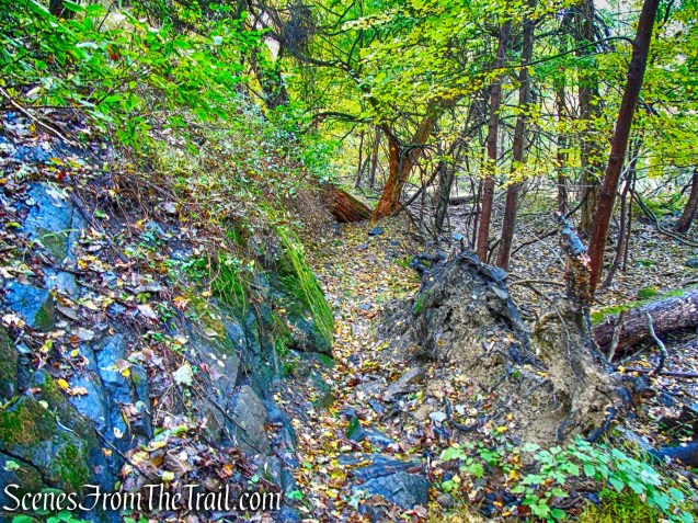 Yellow Trail - Montrose Point State Forest