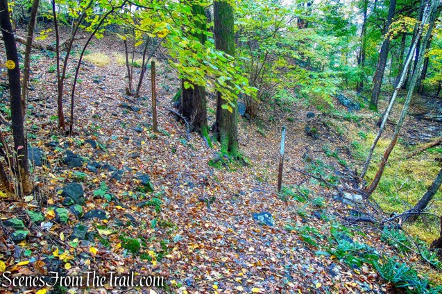 bear right on Yellow Trail - Montrose Point State Forest