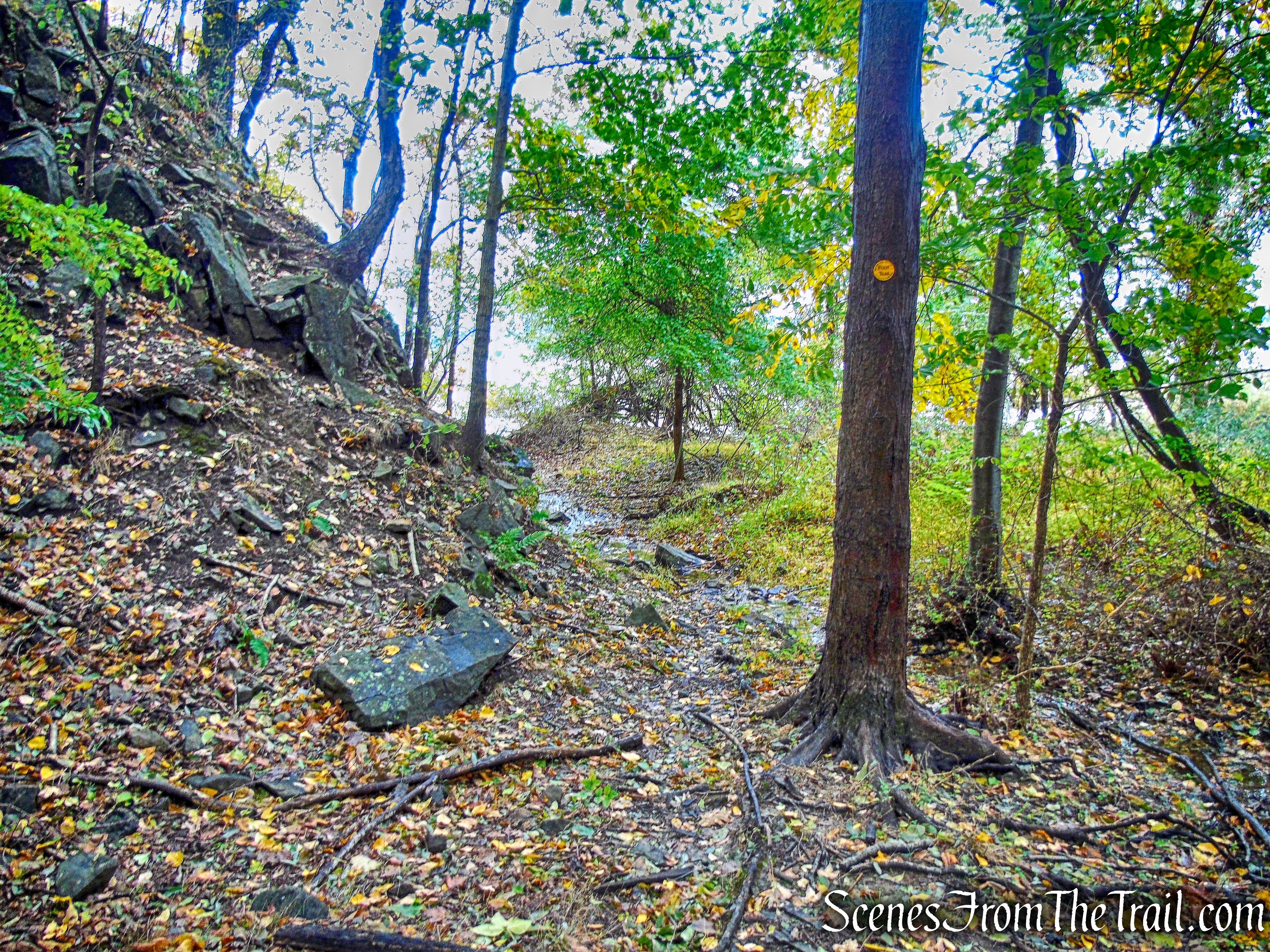 Yellow Trail - Montrose Point State Forest
