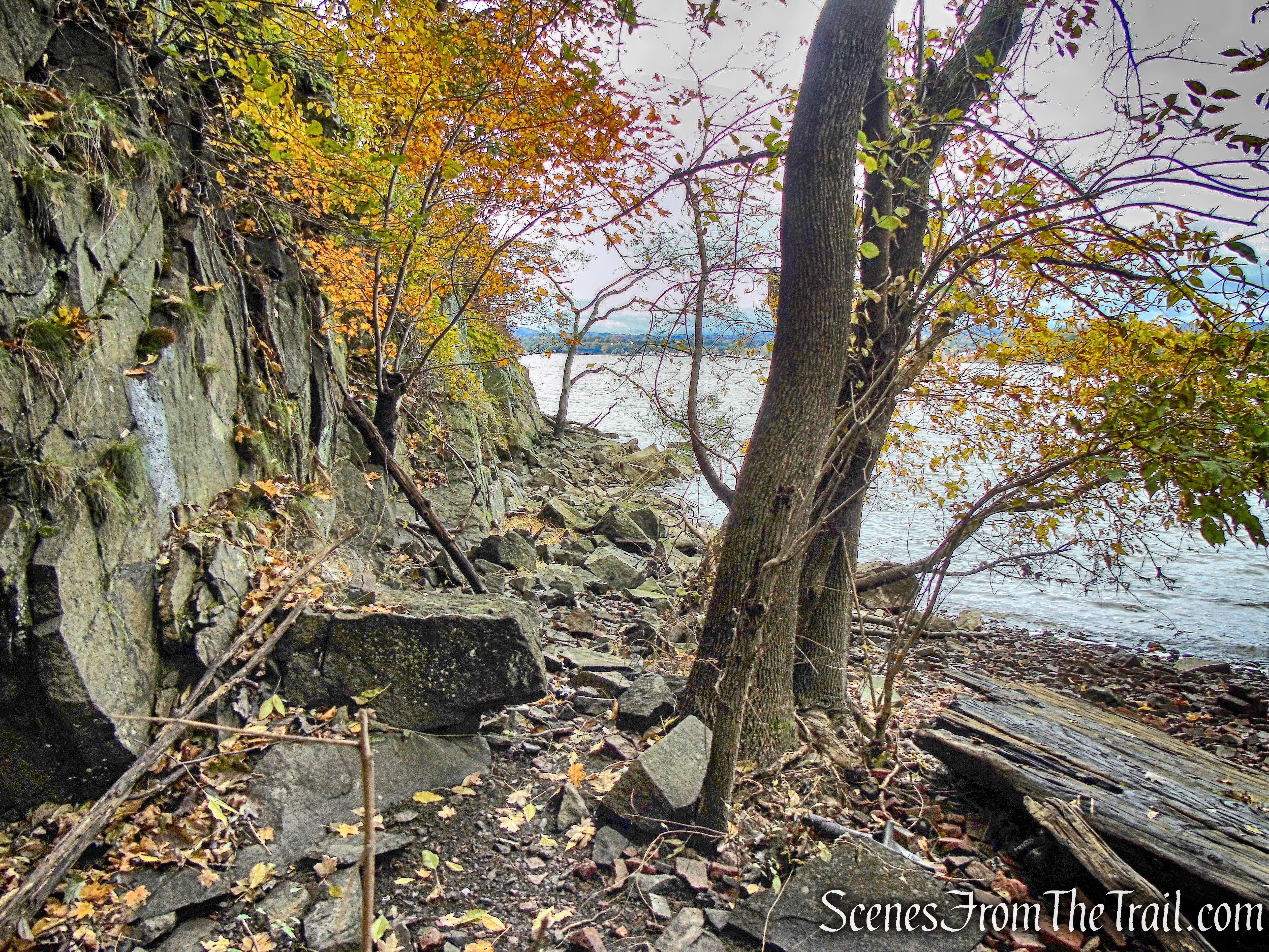 Yellow Trail - Montrose Point State Forest
